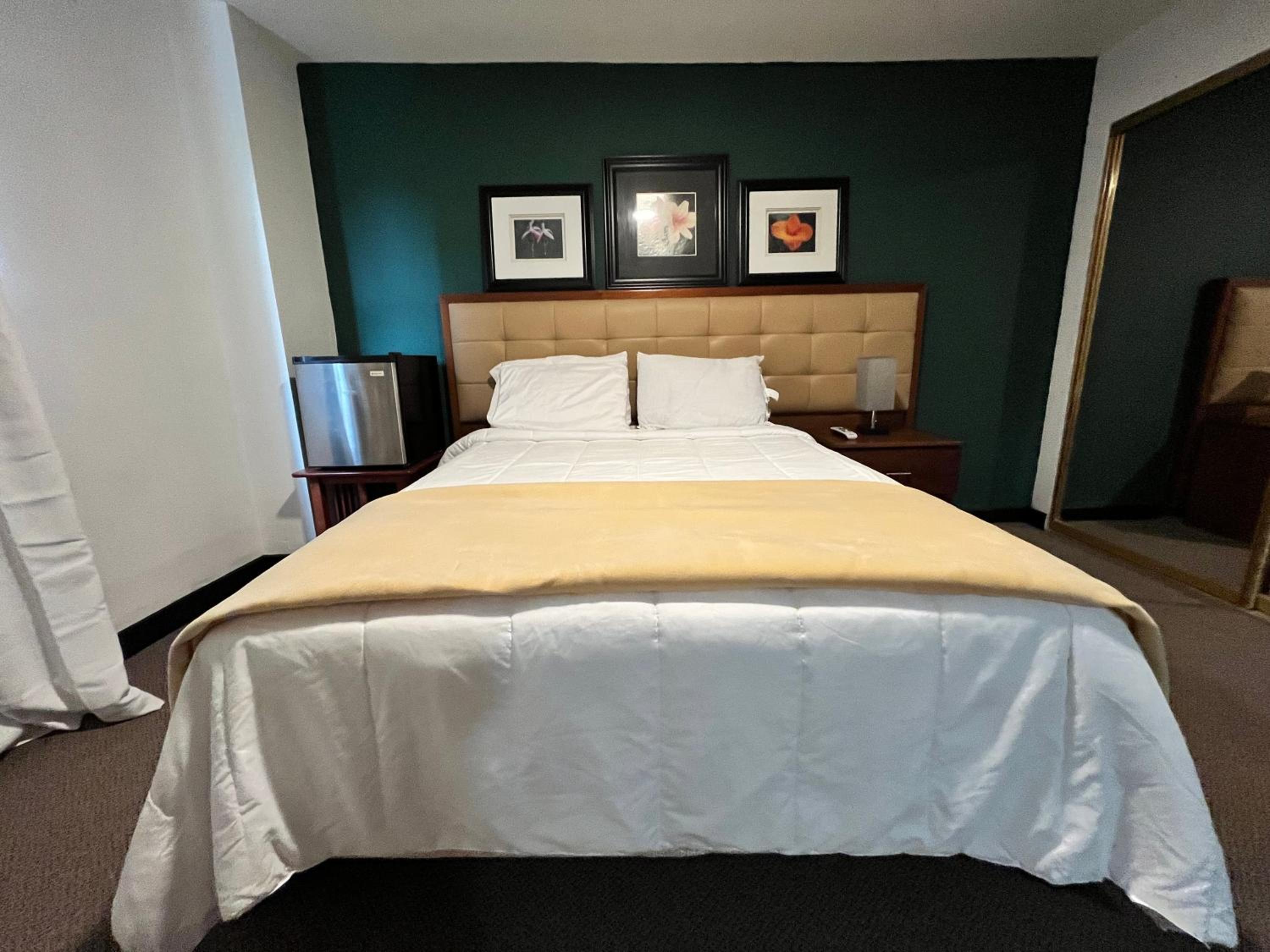 Double Room photo 2
