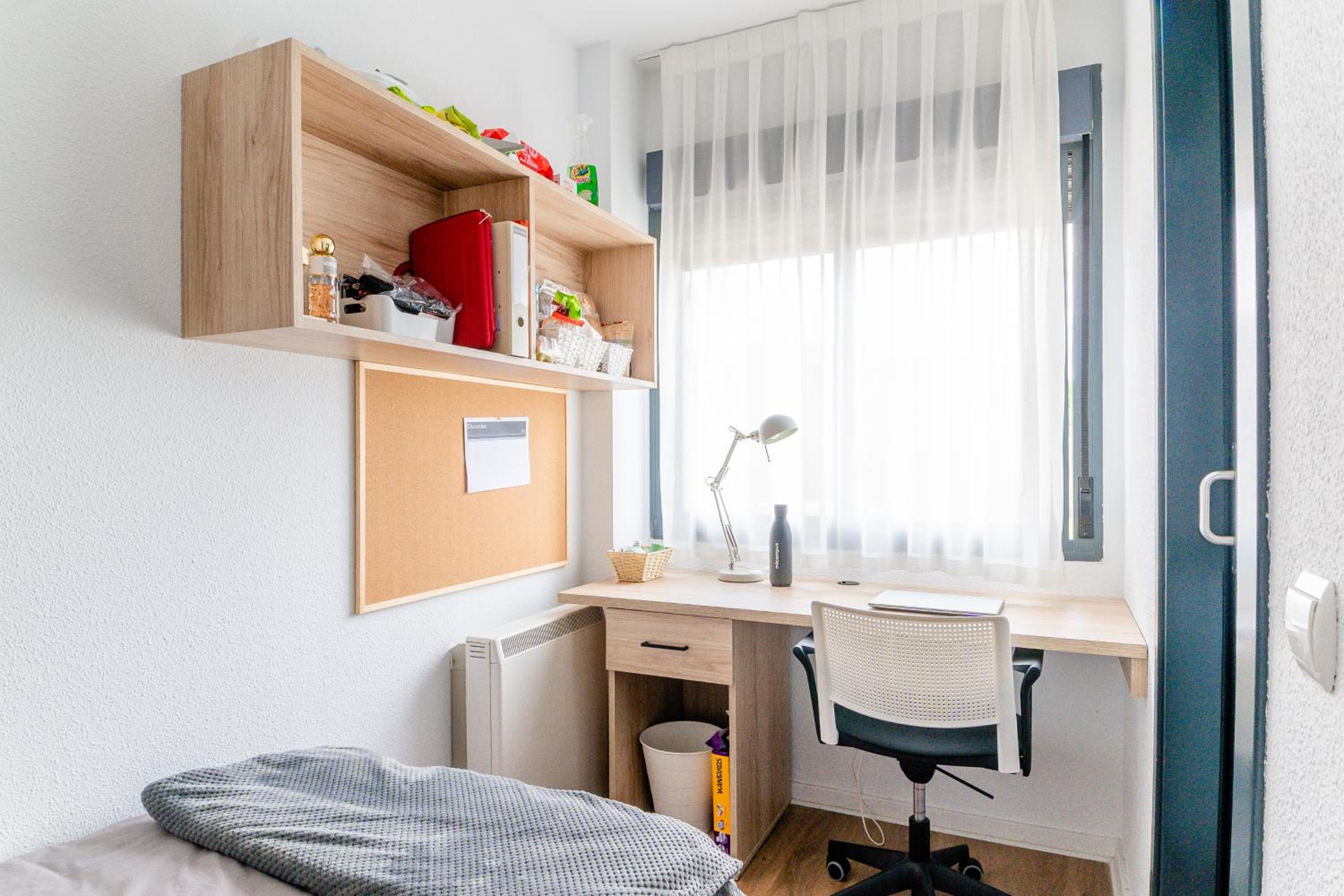 Habitación Individual Económica