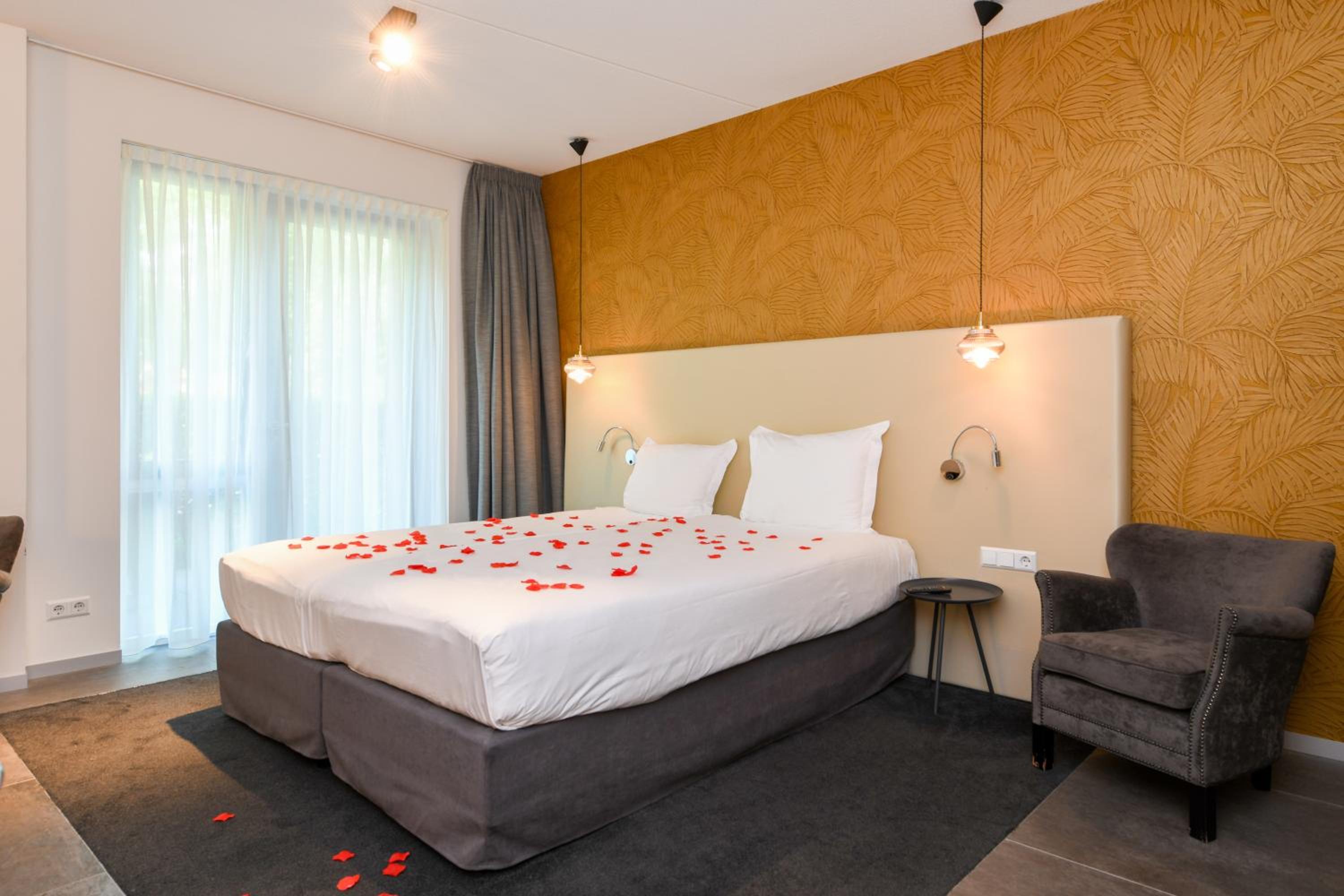 Superior Plus Room