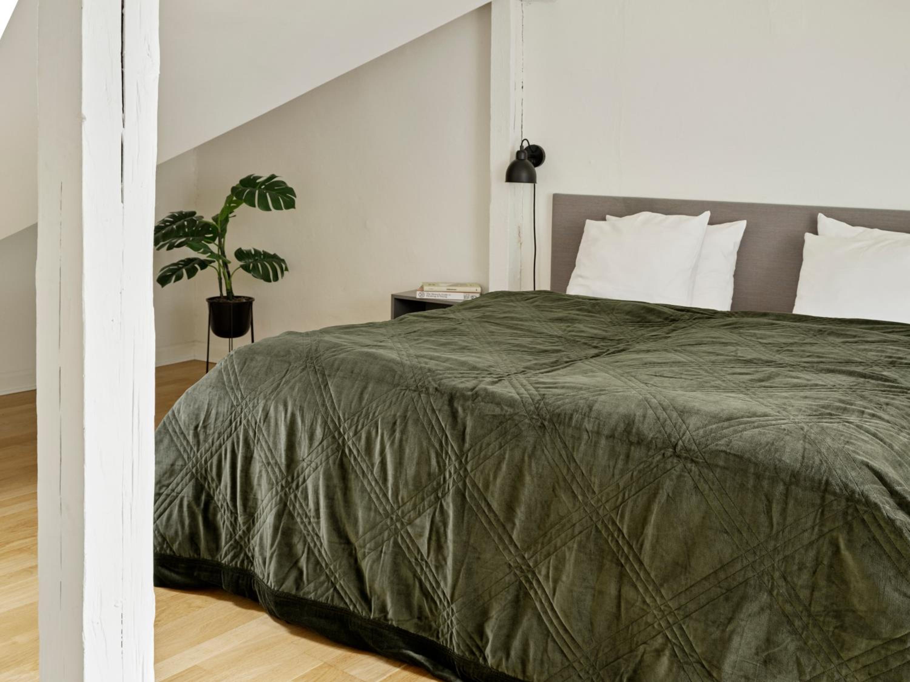 Two-Bedroom Loft without elevator (5th Floor) thumbnail 6