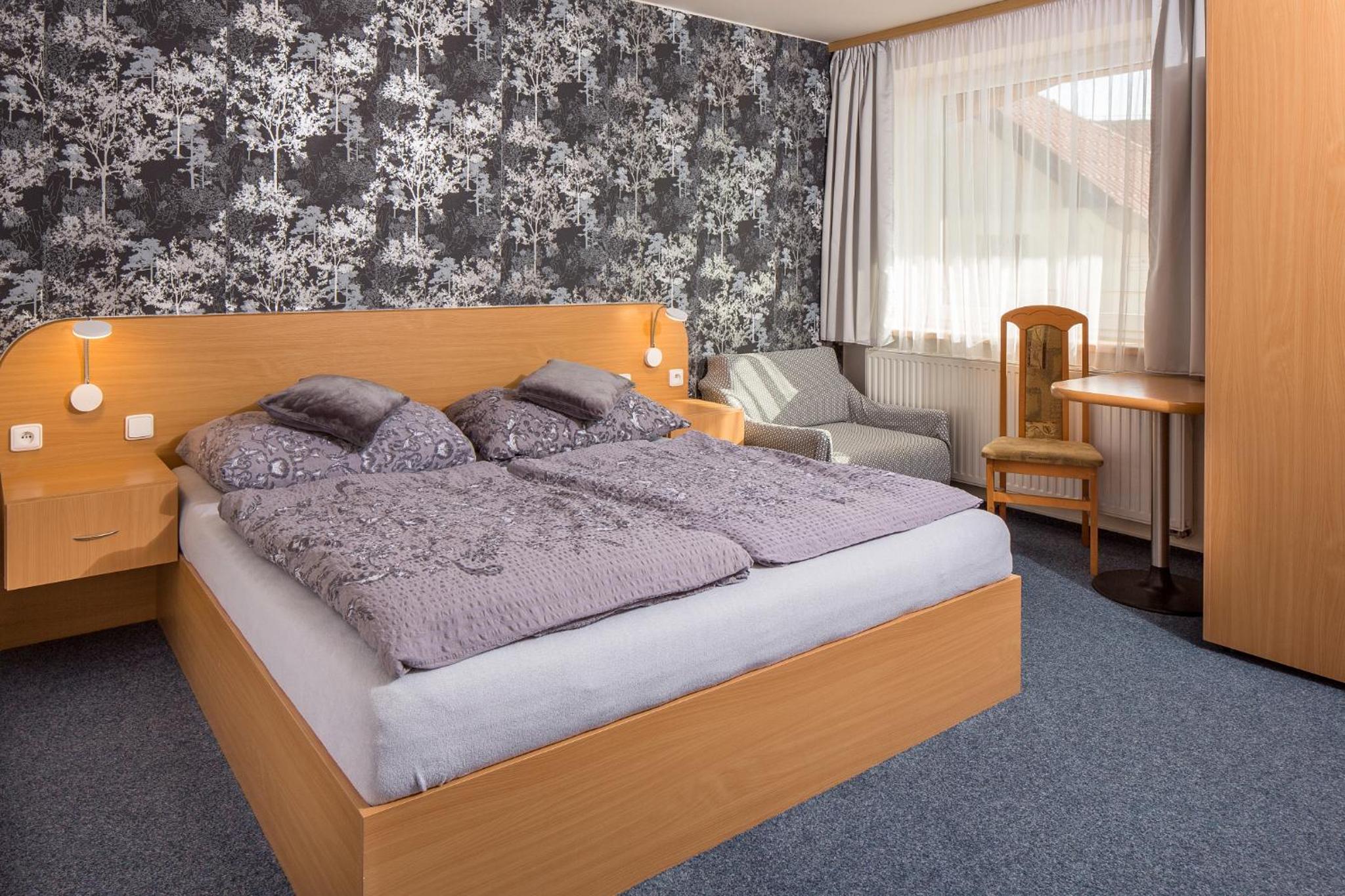 Double or Twin Room - Photo 1