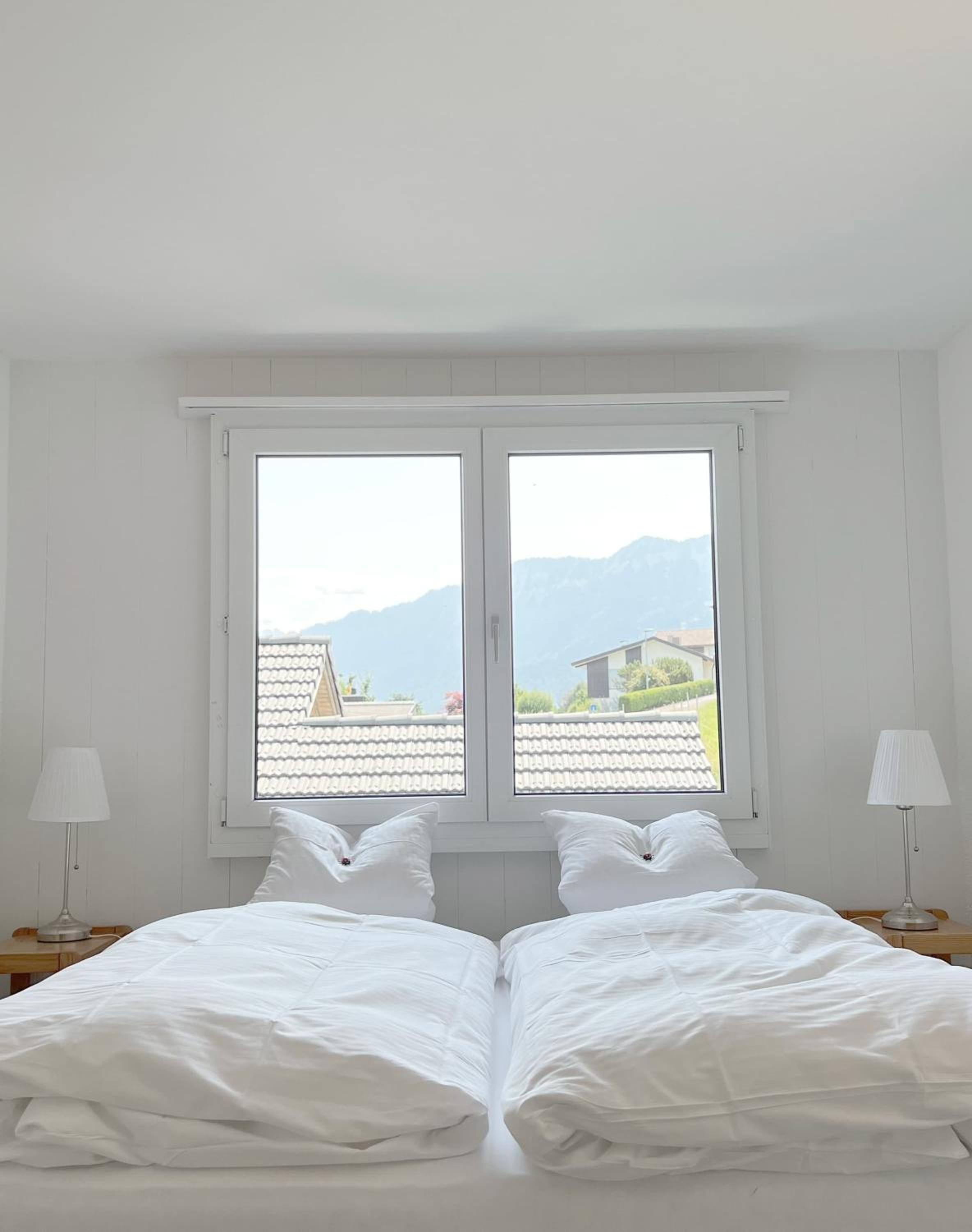 Apartment with Mountain View photo 1