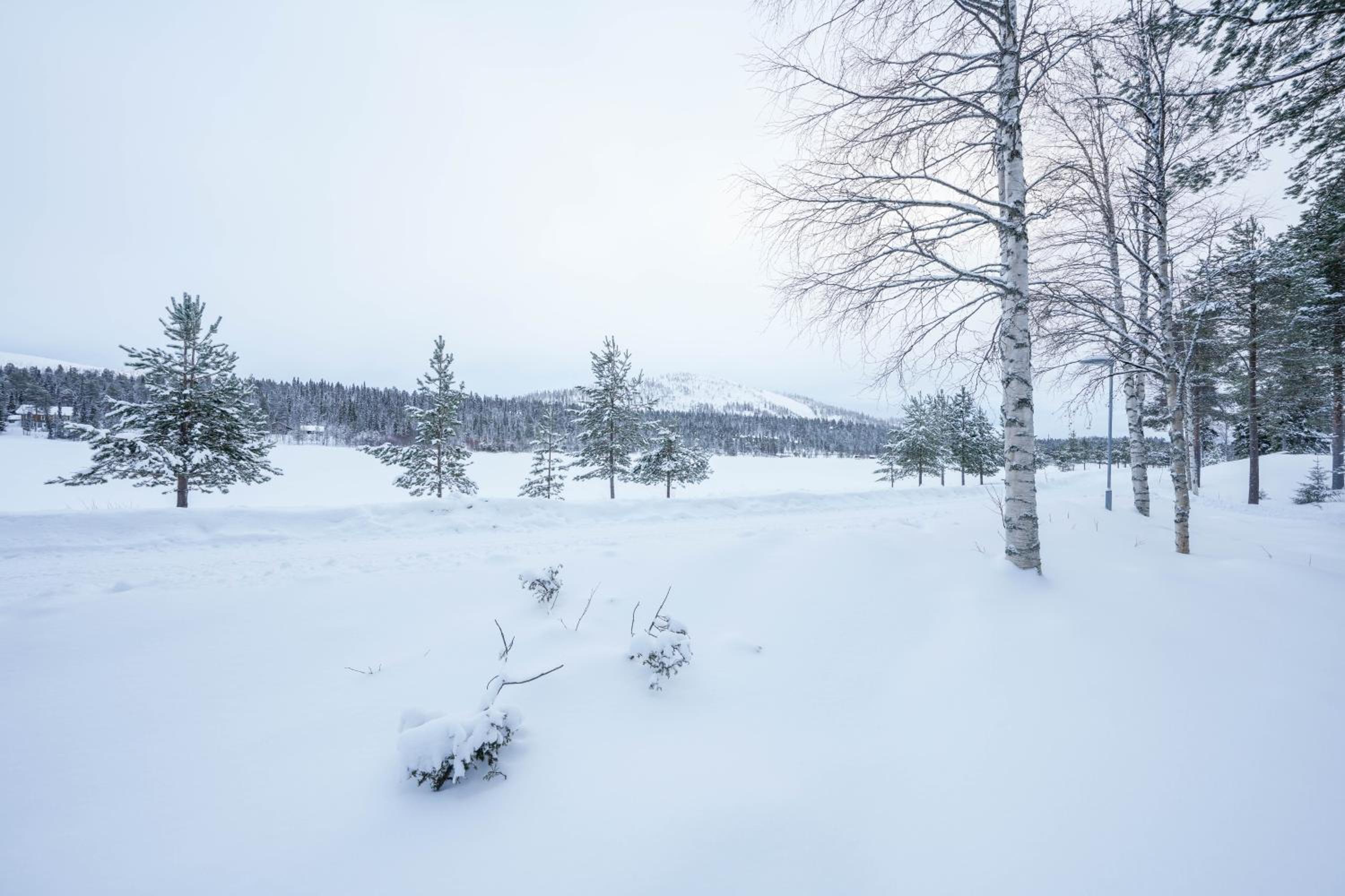 Double Room with Lake View - Photo 9