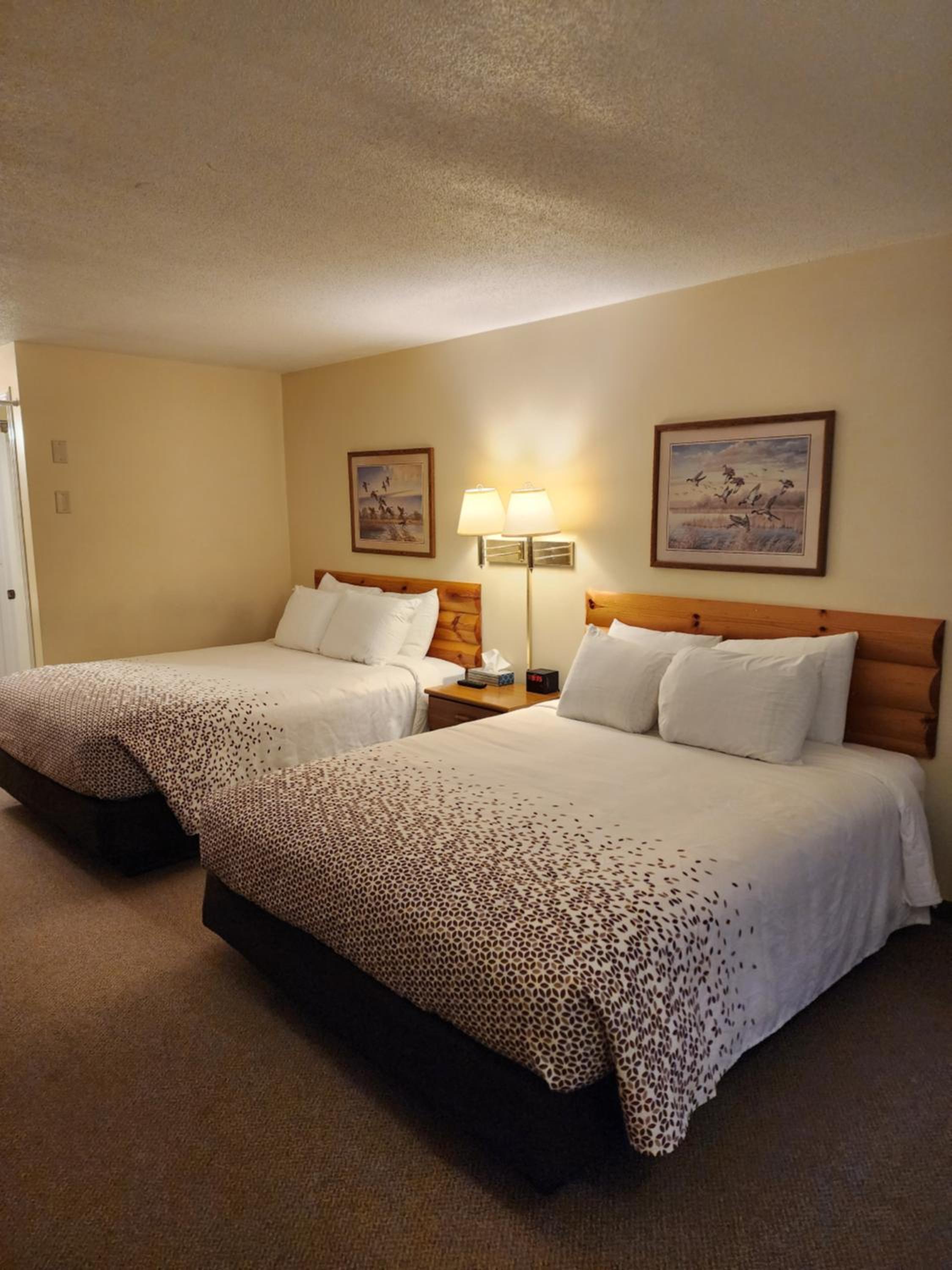 Standard Queen Room photo 3