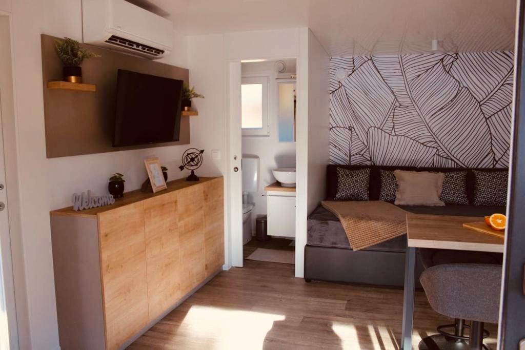 Mobile Home photo 1