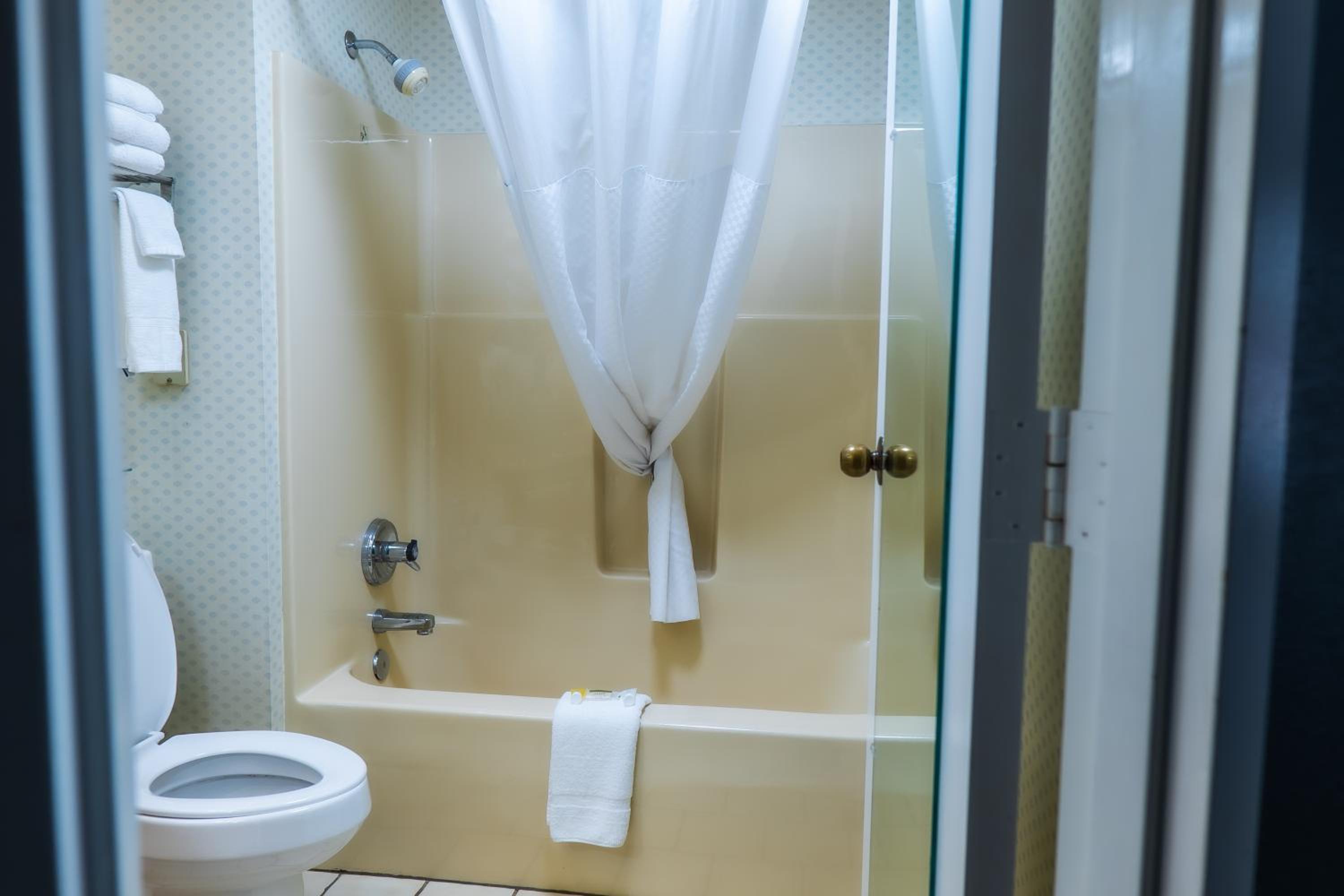 bathroom with a tub, toilet, and shower curtain