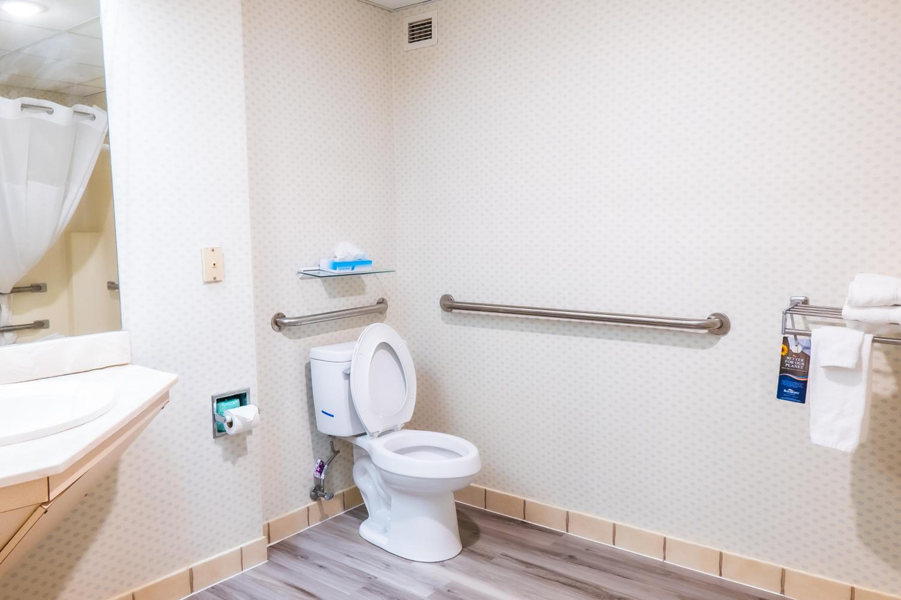 bathroom with a toilet, sink, and shower curtain