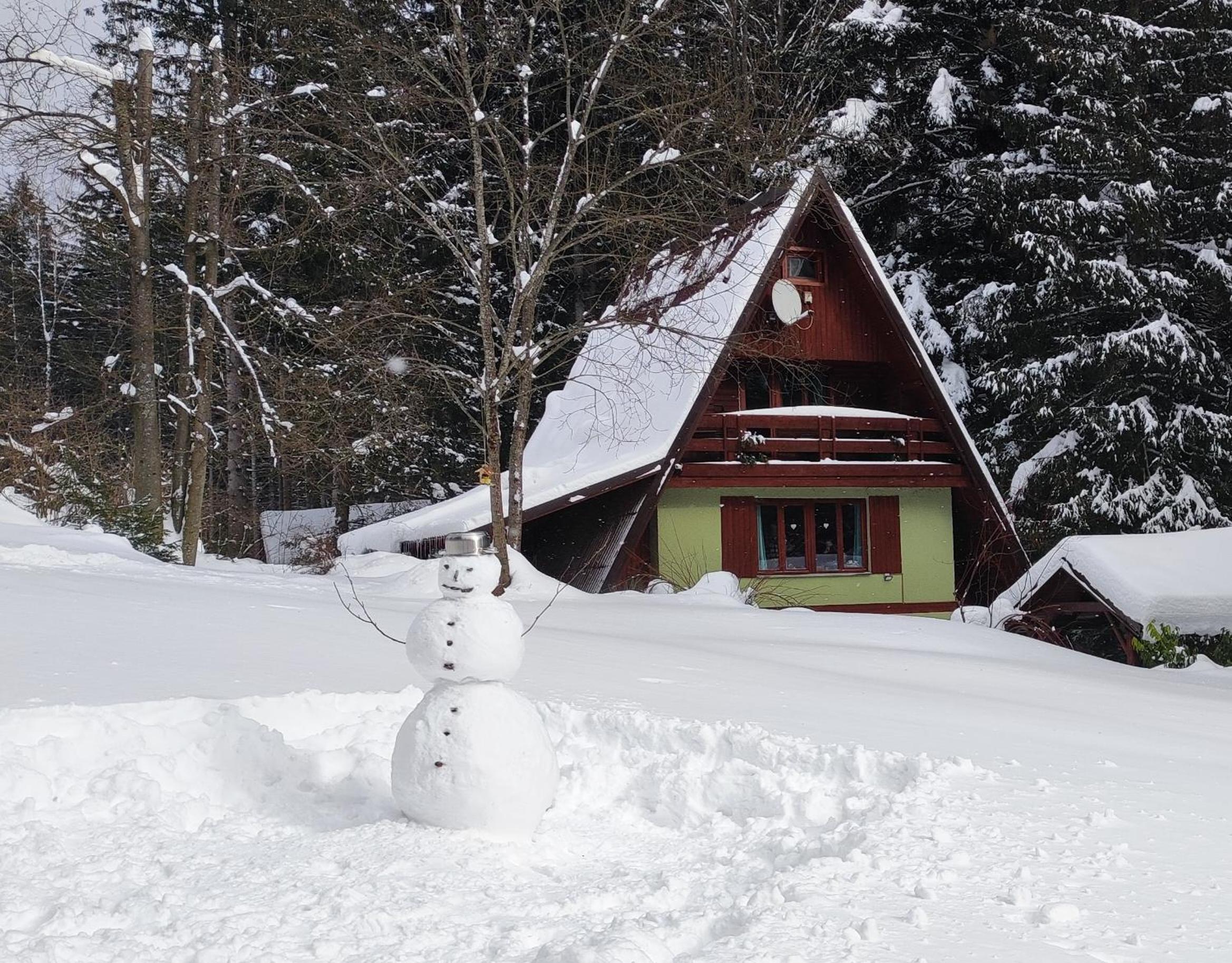 Cottage - Photo 21