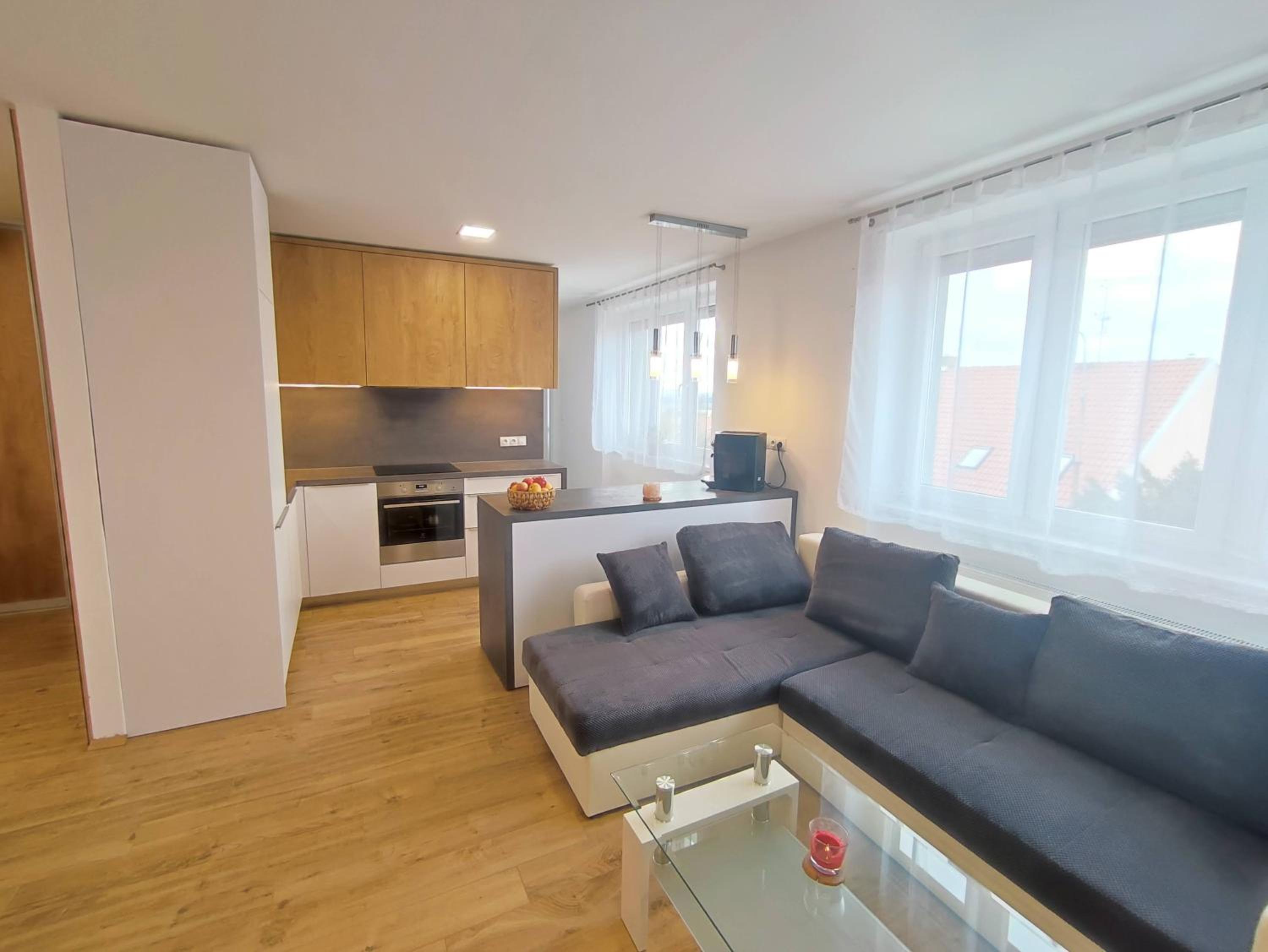 One-Bedroom Apartment photo 3