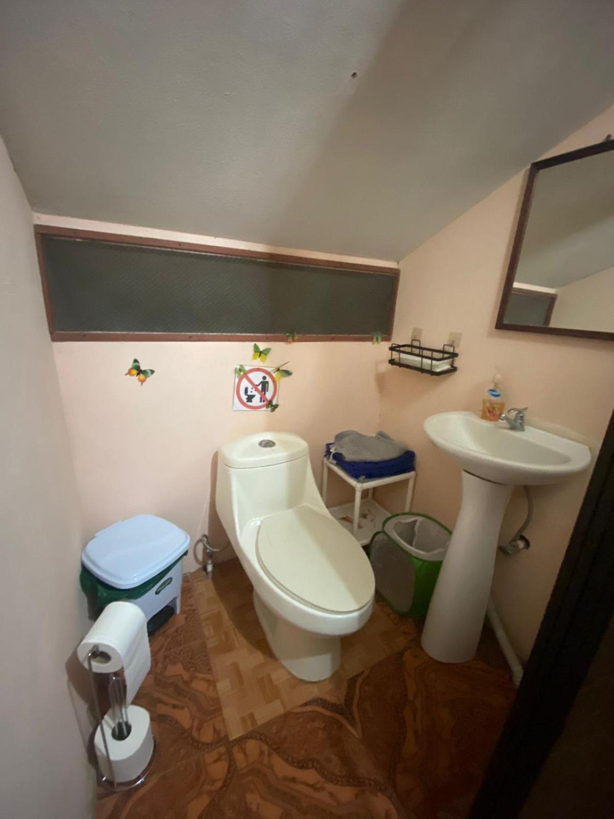 Budget Single Room photo 2