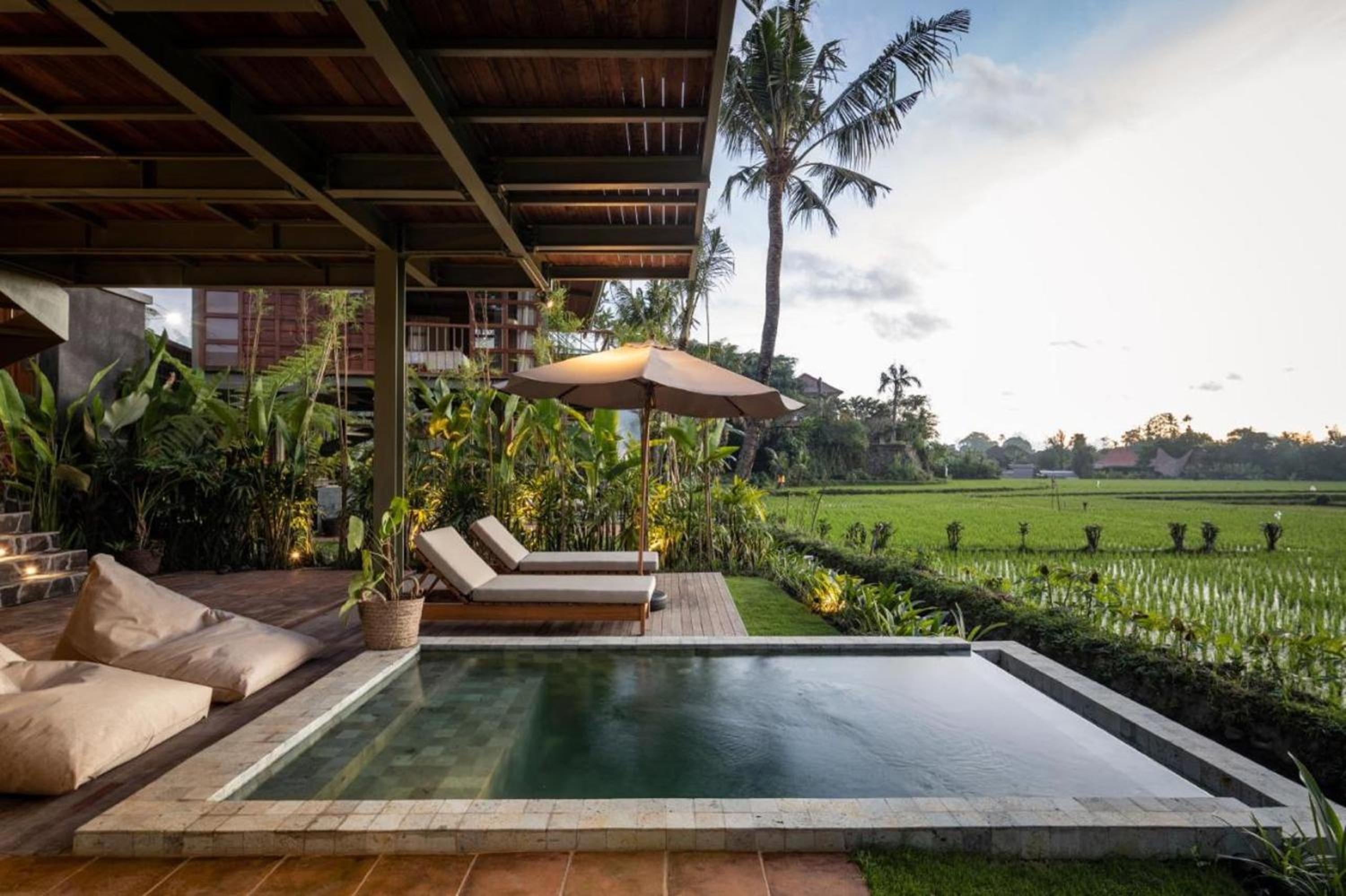 Treehouse Studio with private pool - Photo 4