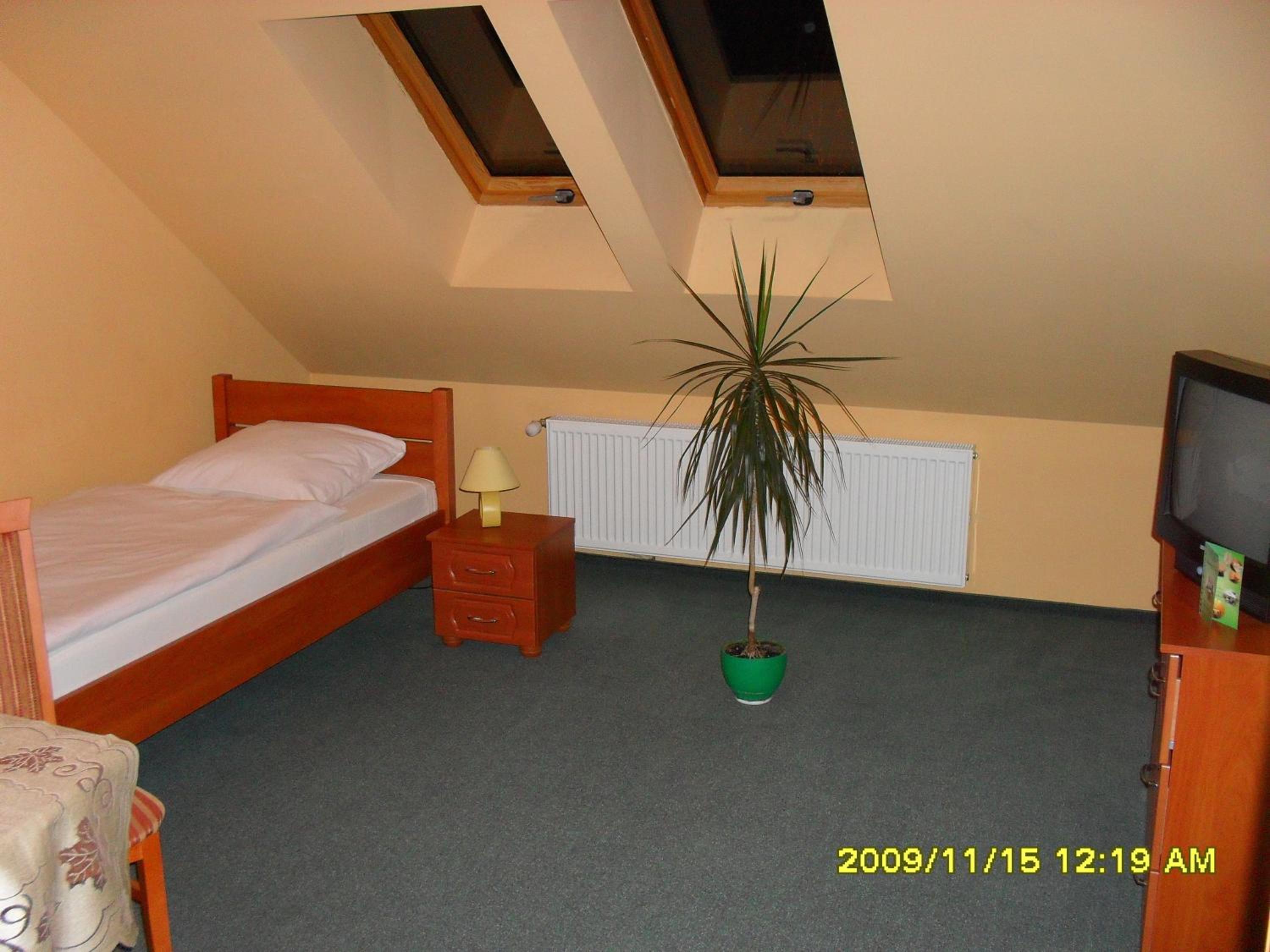 Single Room photo 1