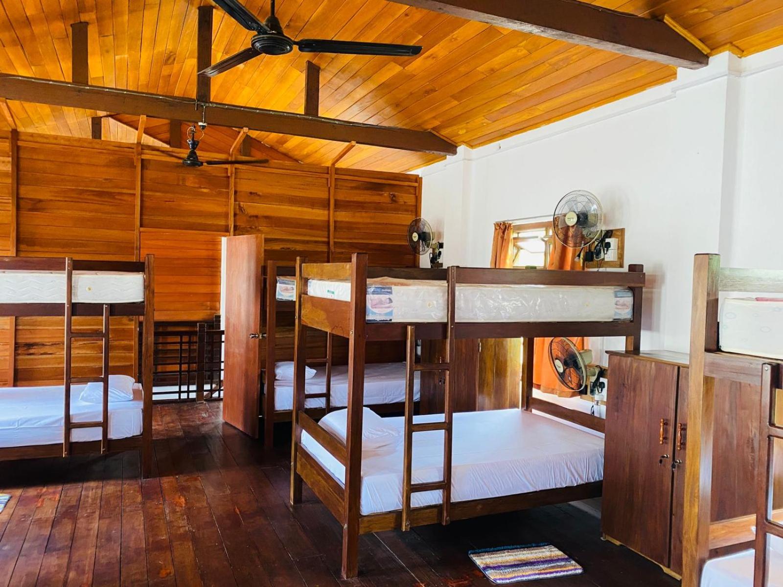 Bed in 10-Bed Mixed Dormitory Room photo 1