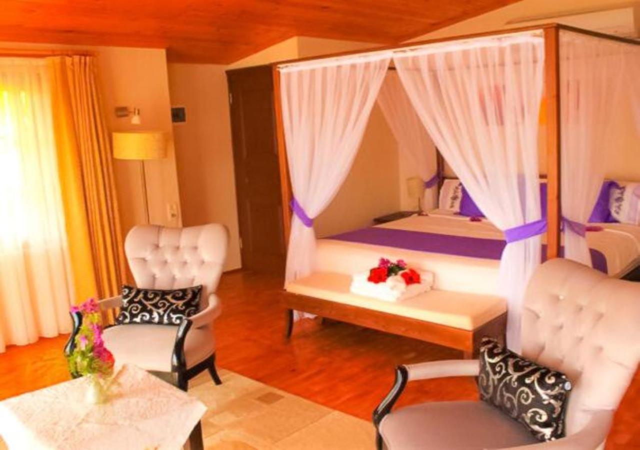 Deluxe Triple Room photo 1