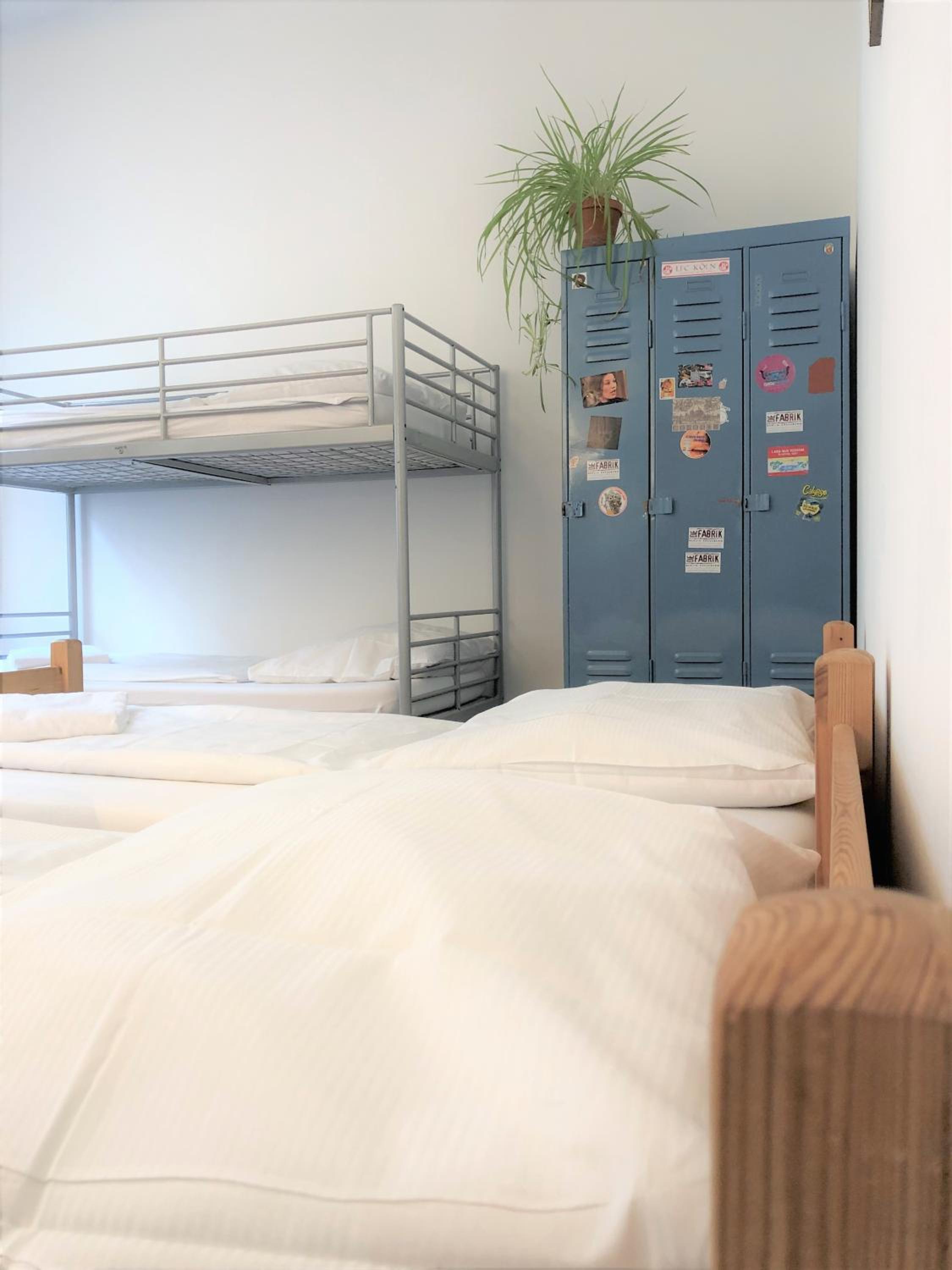 Bed in 4-Bed Female Dormitory Room photo 2