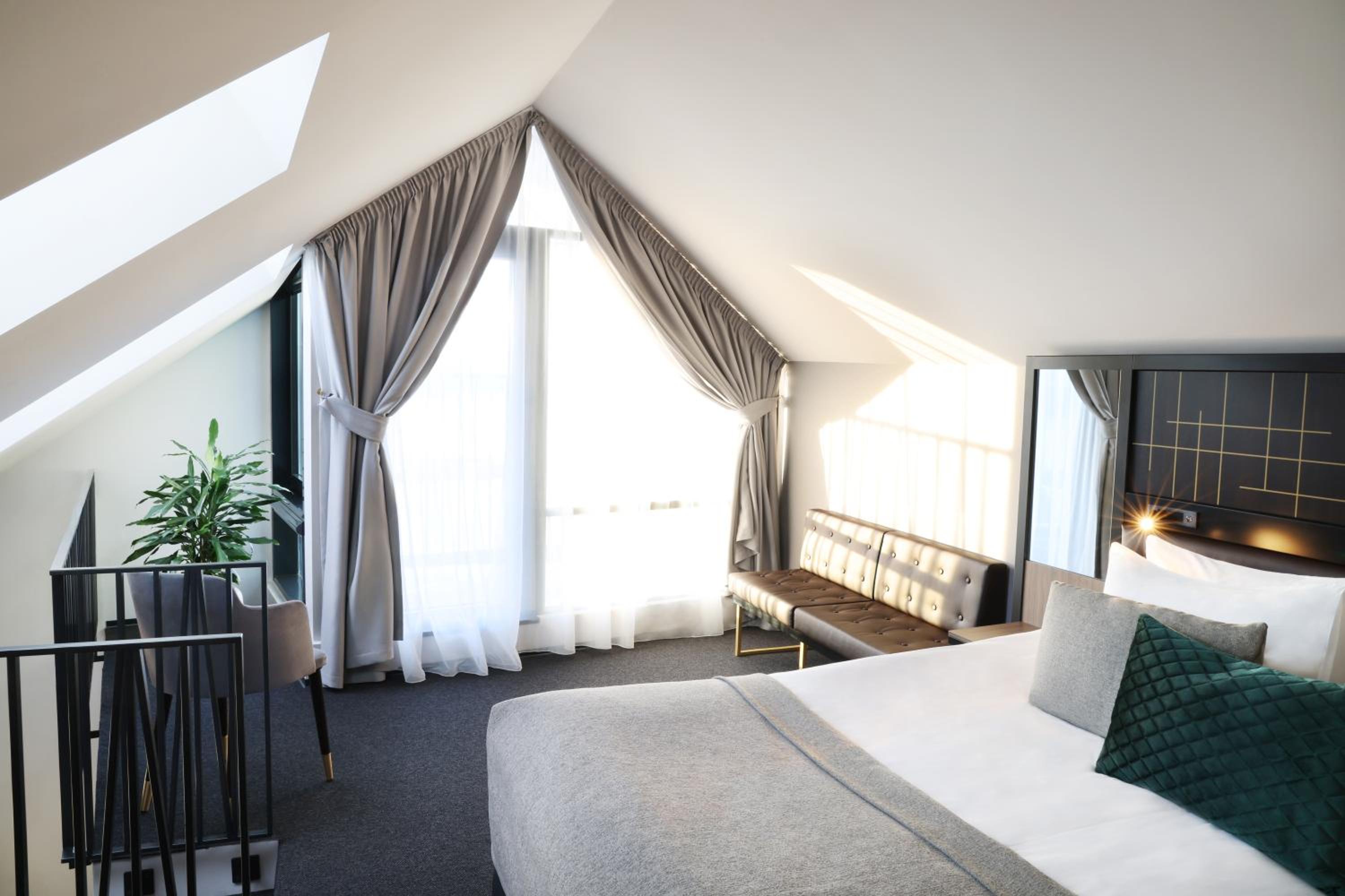 Suite - Photo 1