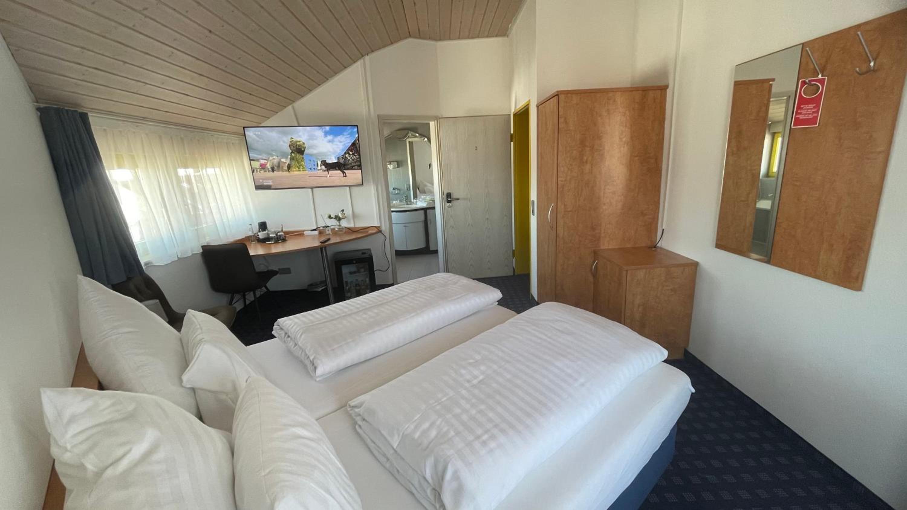 Deluxe Double or Twin Room photo 1