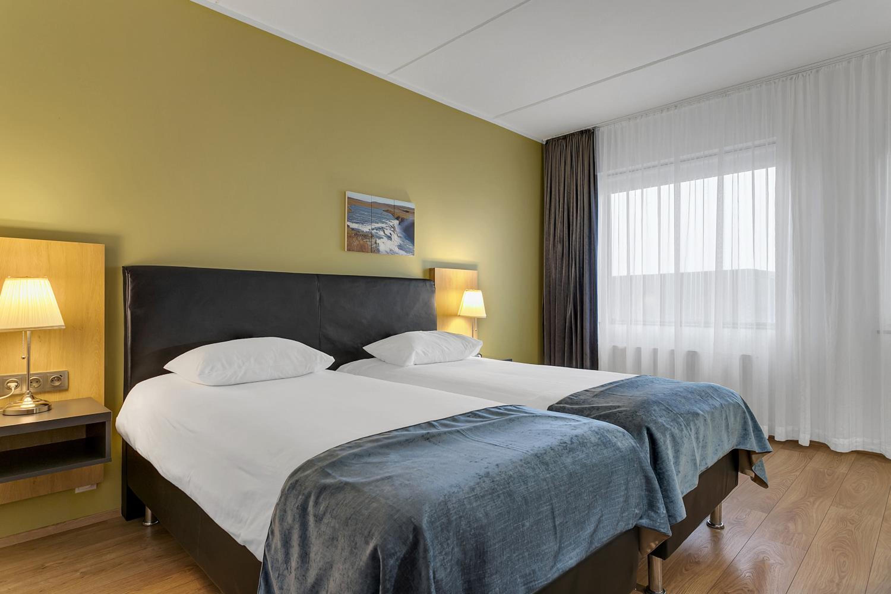 Single Room photo 2