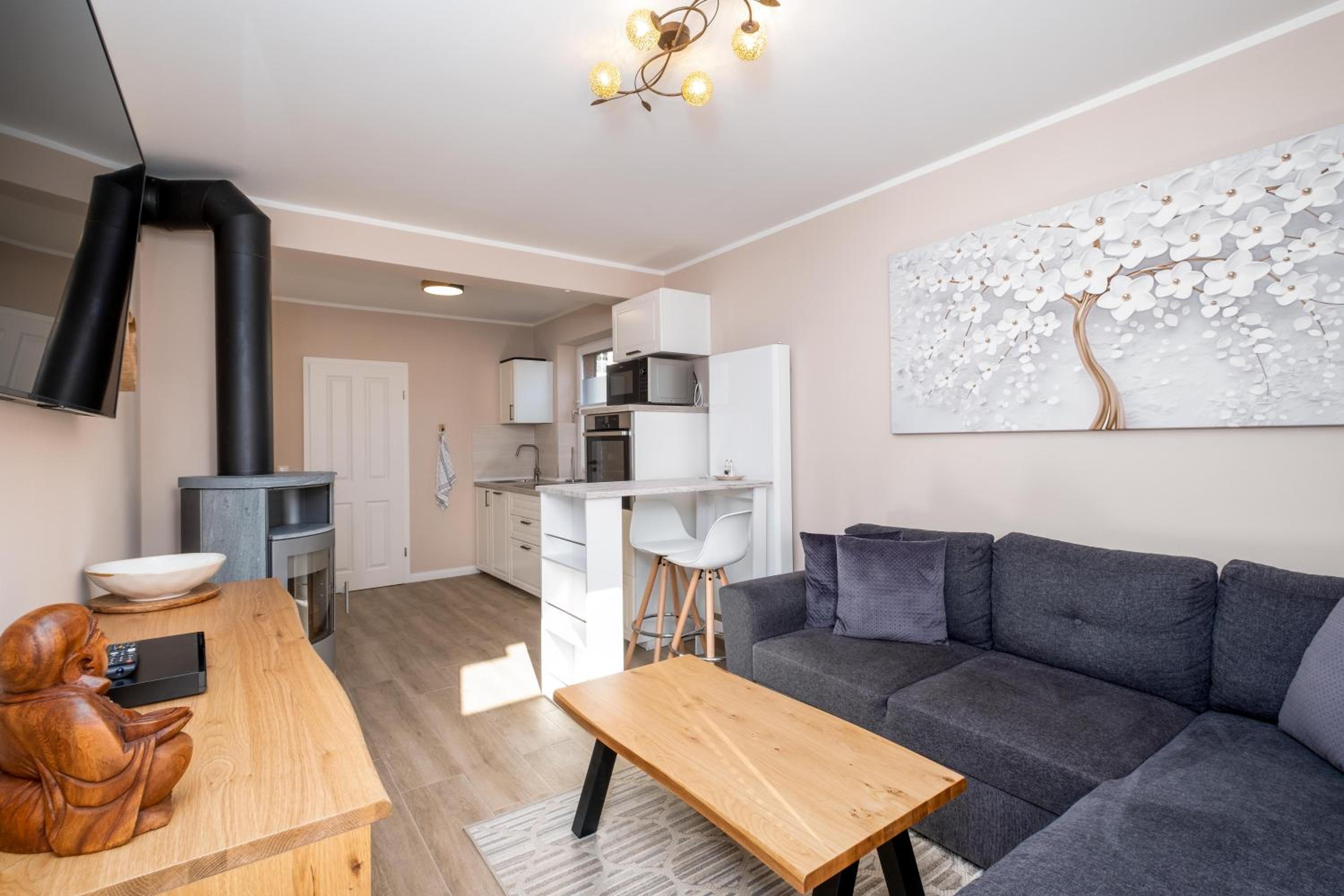 Apartment with Terrace photo 2