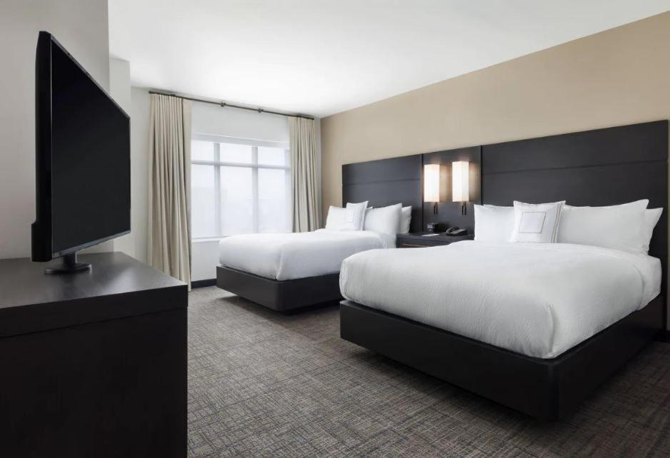 One-Bedroom Suite with Two Queen Beds and Sofa Bed - Photo 1