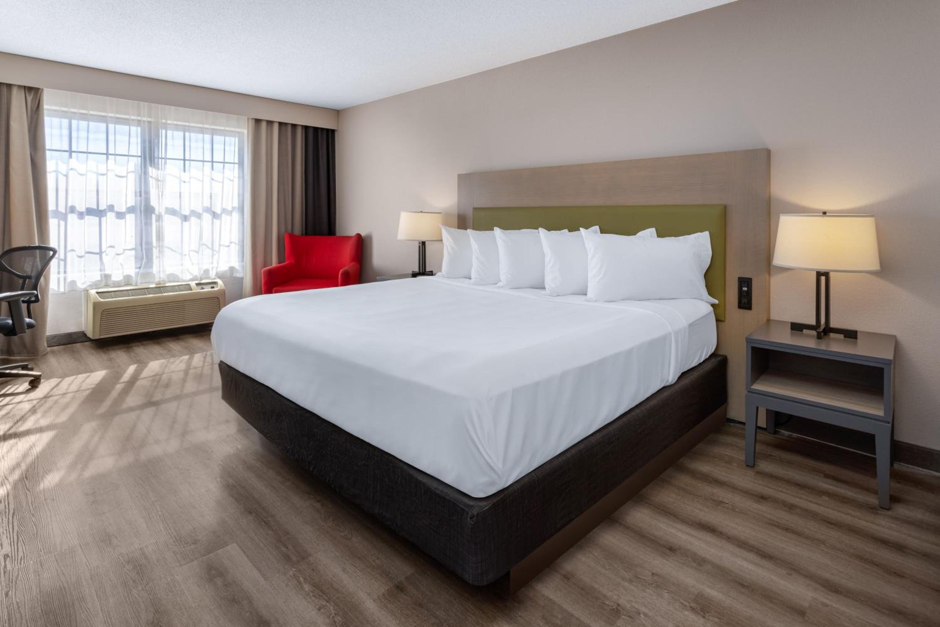 King Room - Photo 1