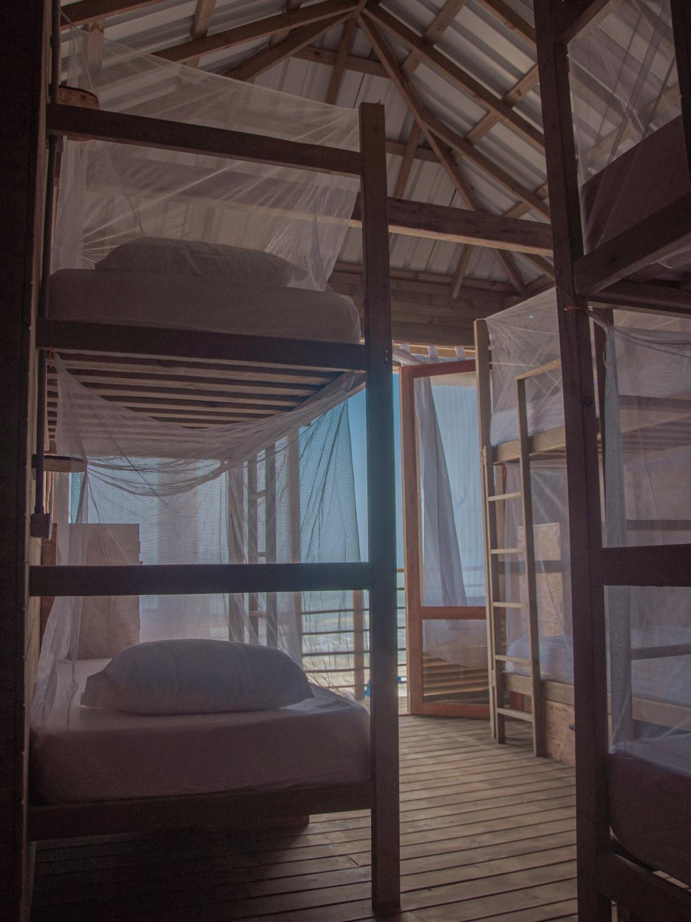 Single Bed in 6-Bed Dormitory Room photo 1