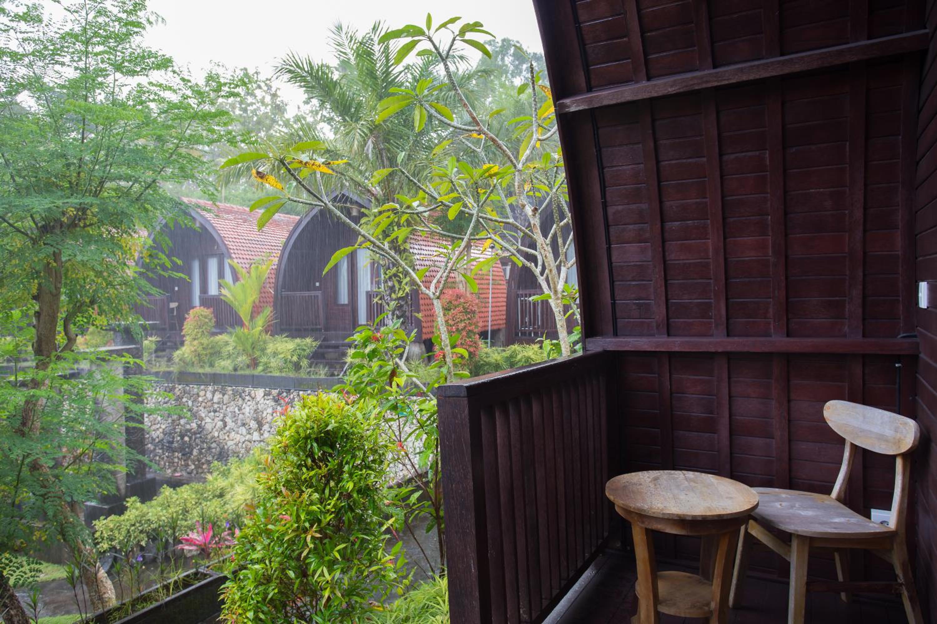 Double Room with Garden View photo 2