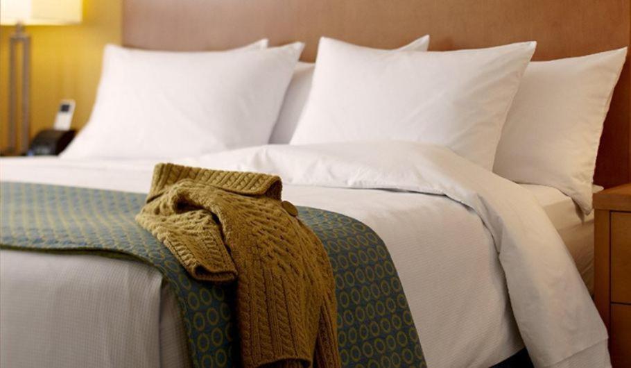 Specialty King Room with Sofa Bed and City View photo 2