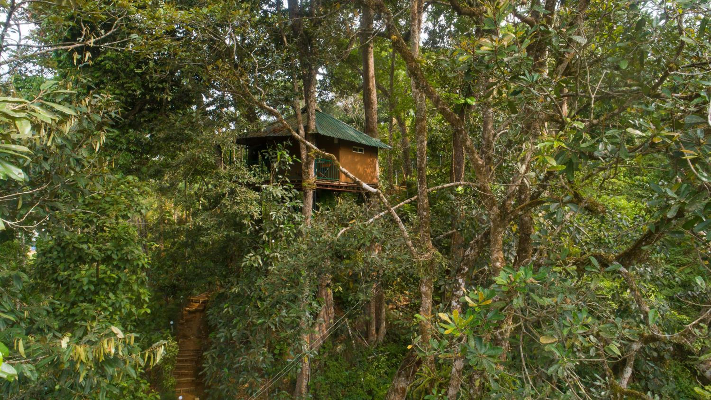 Tree House - Photo 6