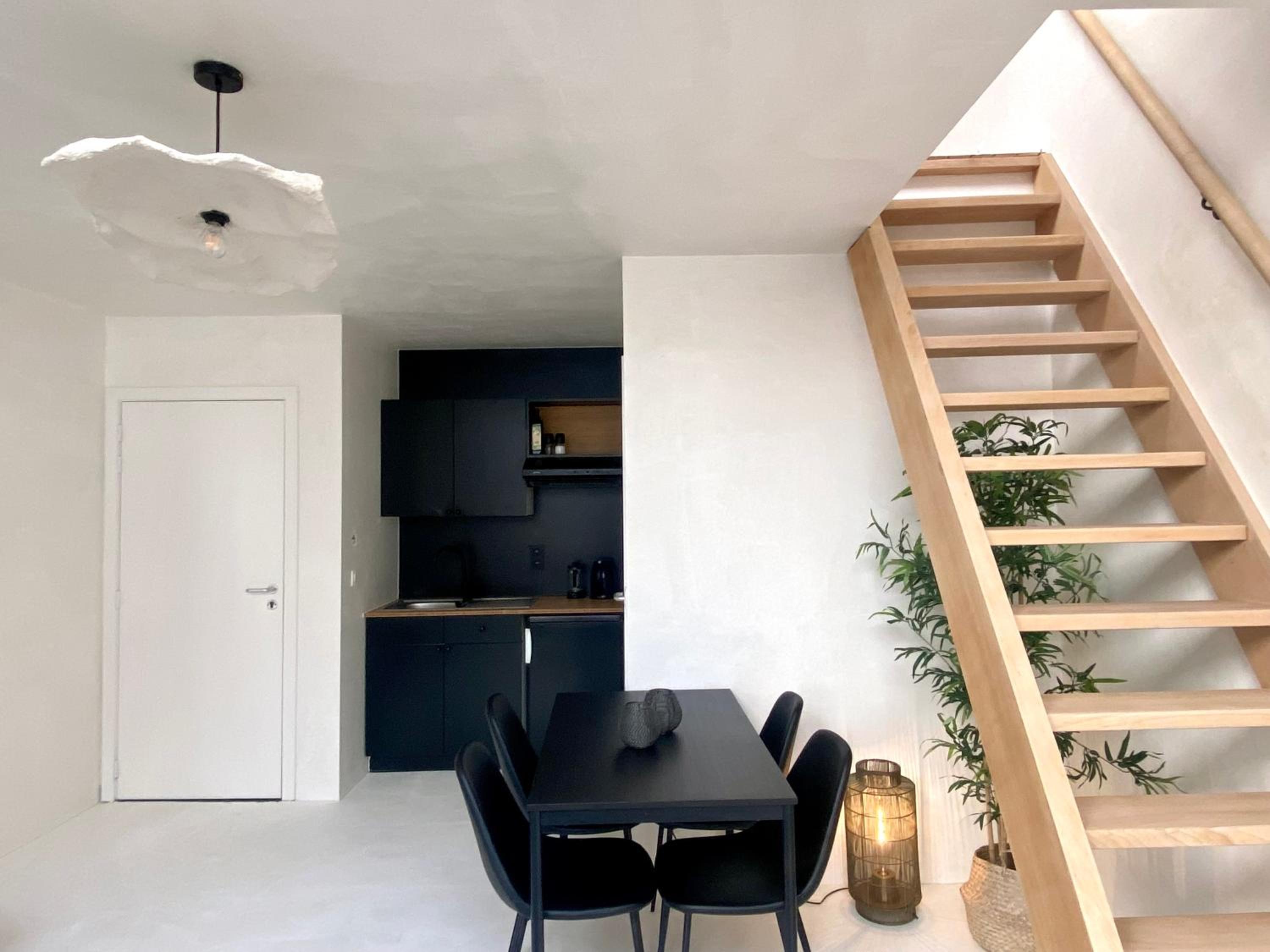 Duplex Apartment photo 3