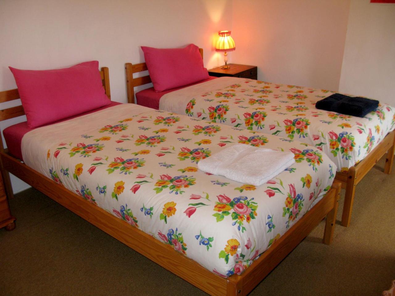Double or Twin Room with View photo 2