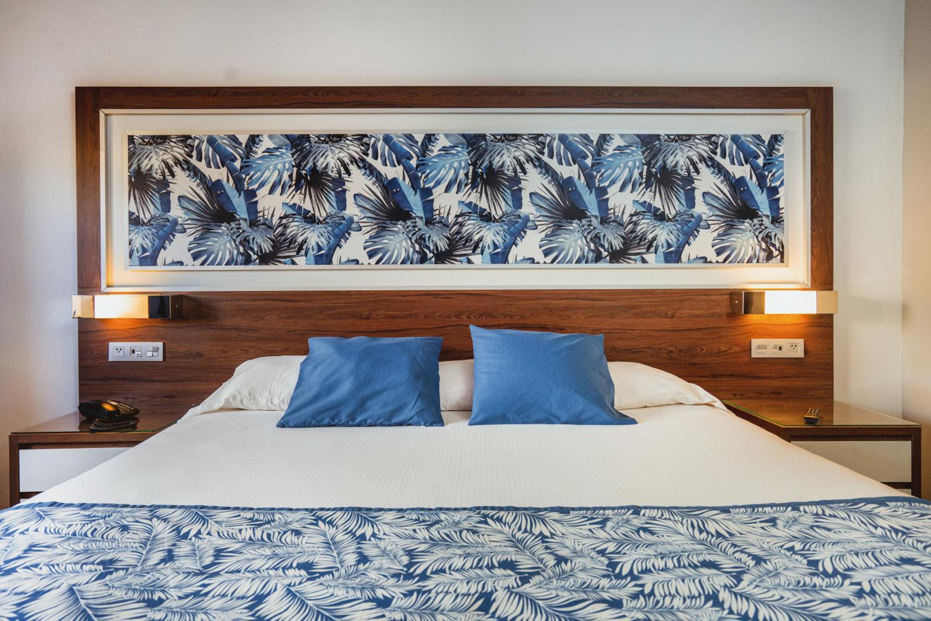 Double Room Riu Party Adults Only (+18)