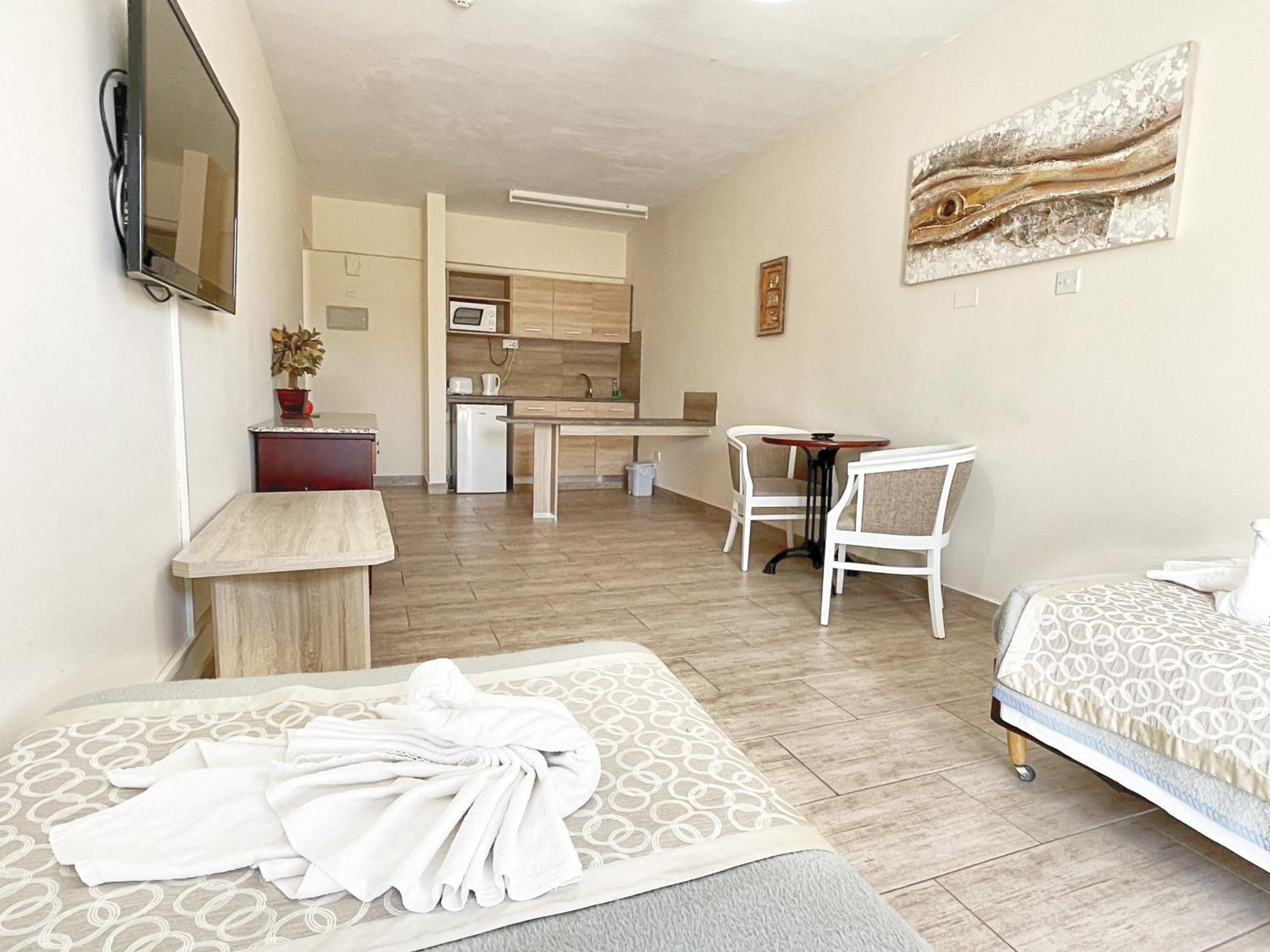 One-Bedroom Apartment (3 Adults) photo 3