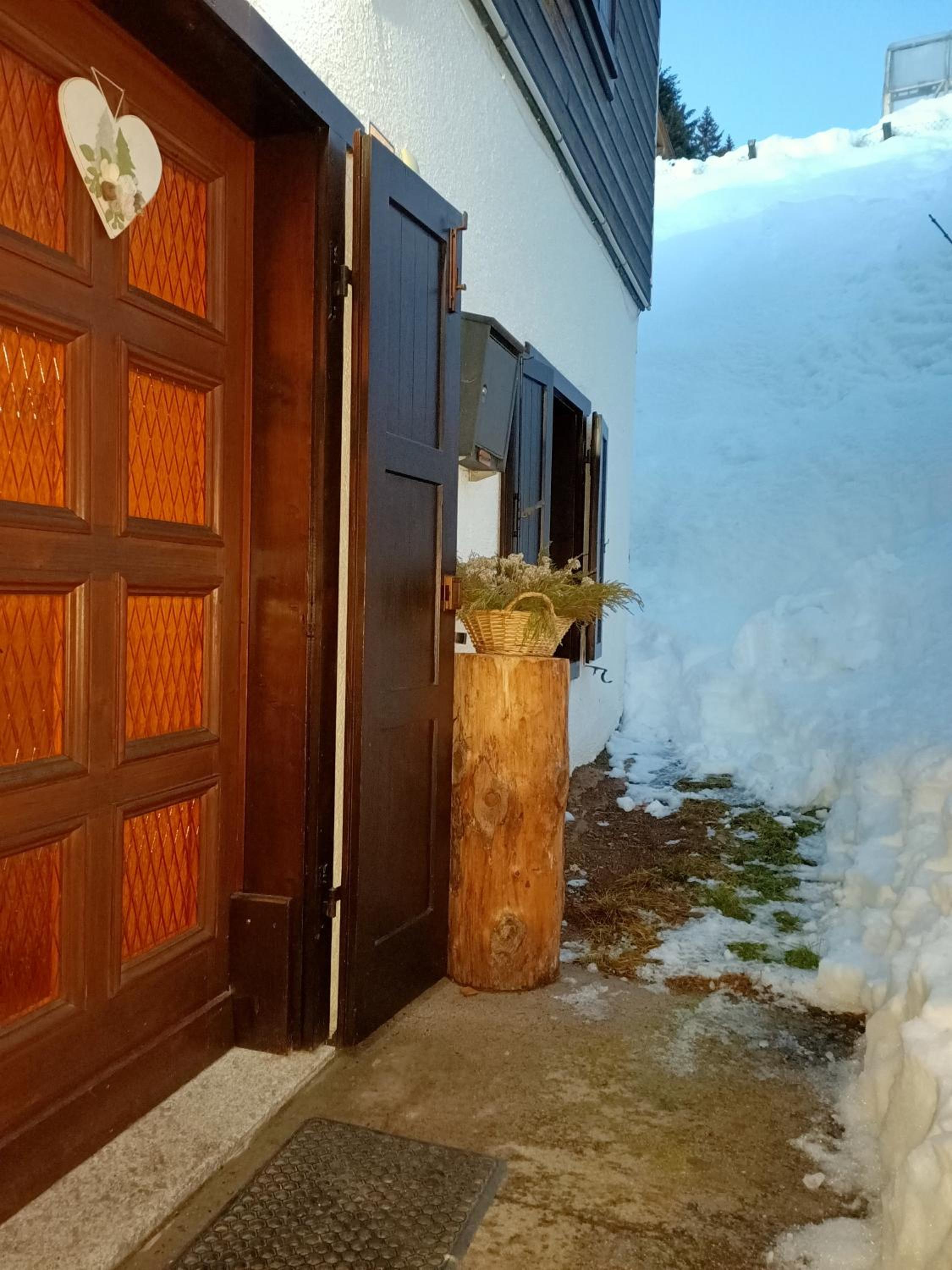 Apartment with Terrace photo 2
