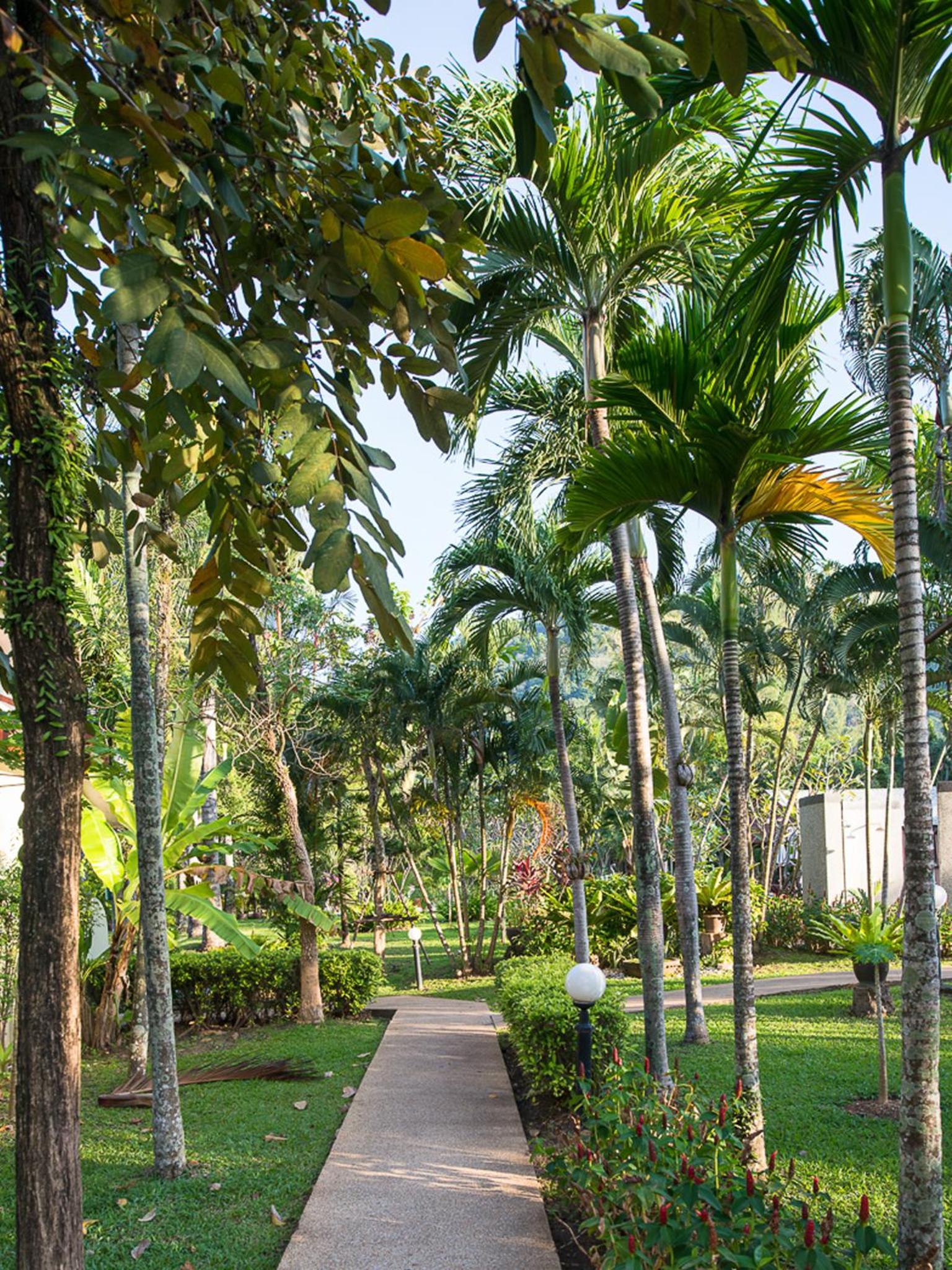 Superior Garden view - Breakfast - Photo 11