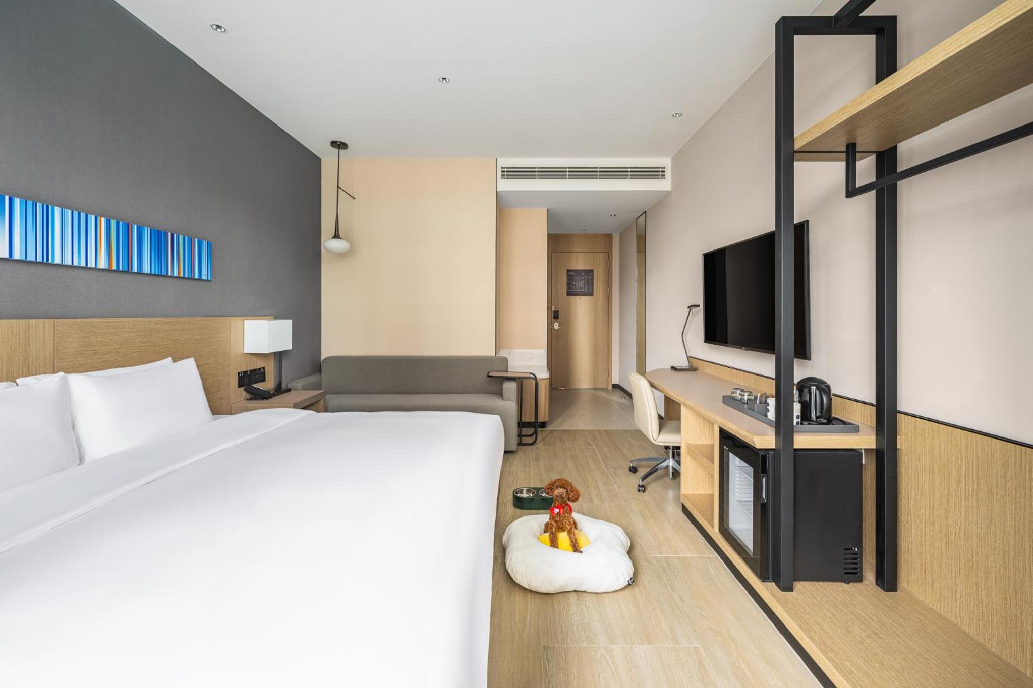 King Room - Dog Friendly