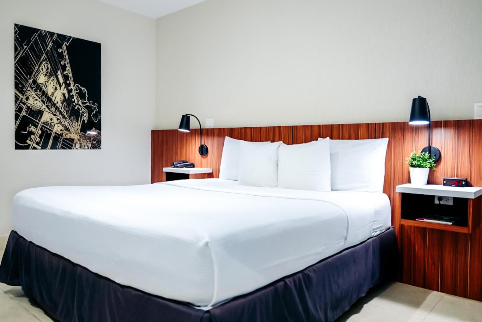 King Room photo 2