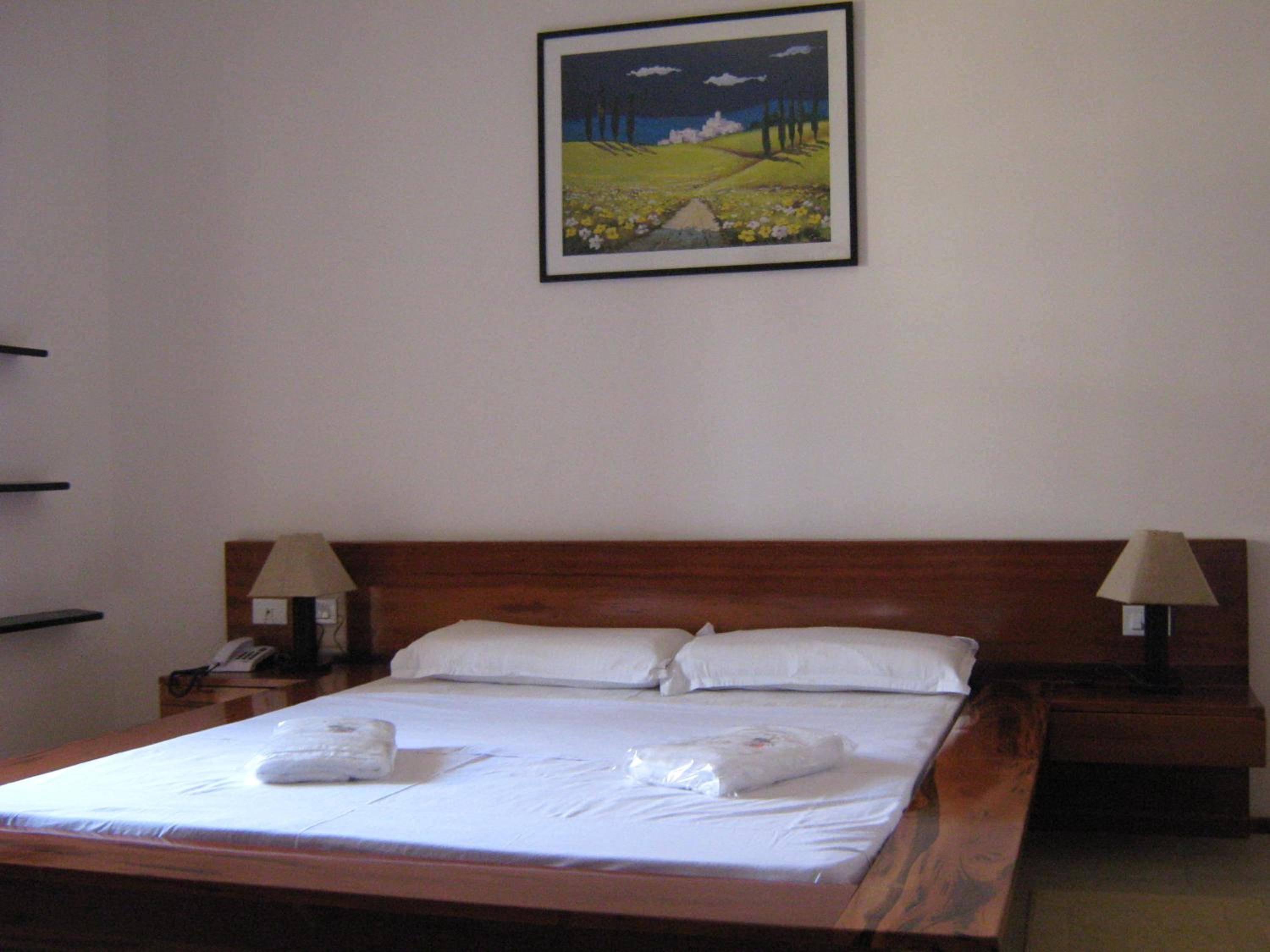 Deluxe Double Room photo 1