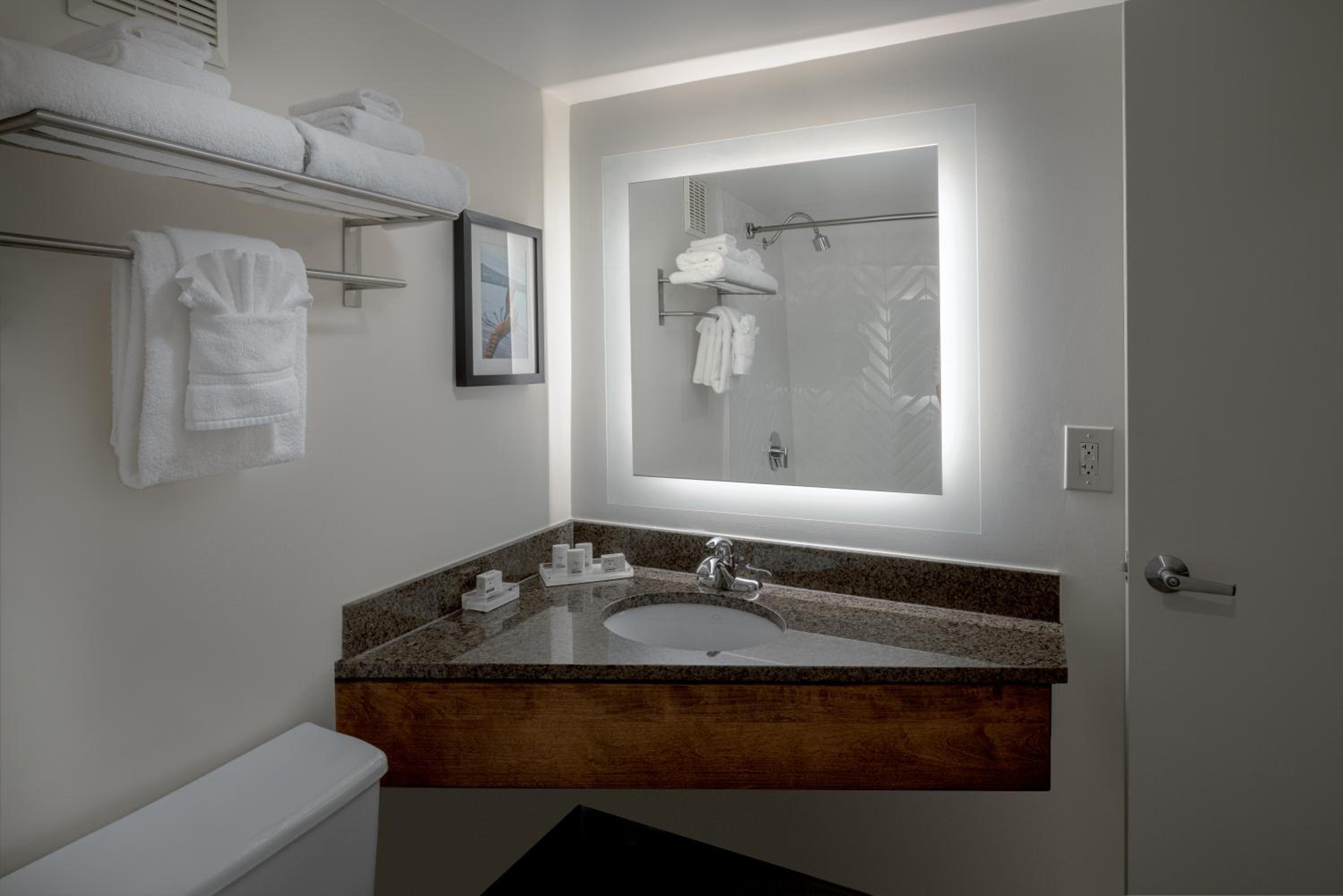 Premium King Room with Ocean View - Photo 4