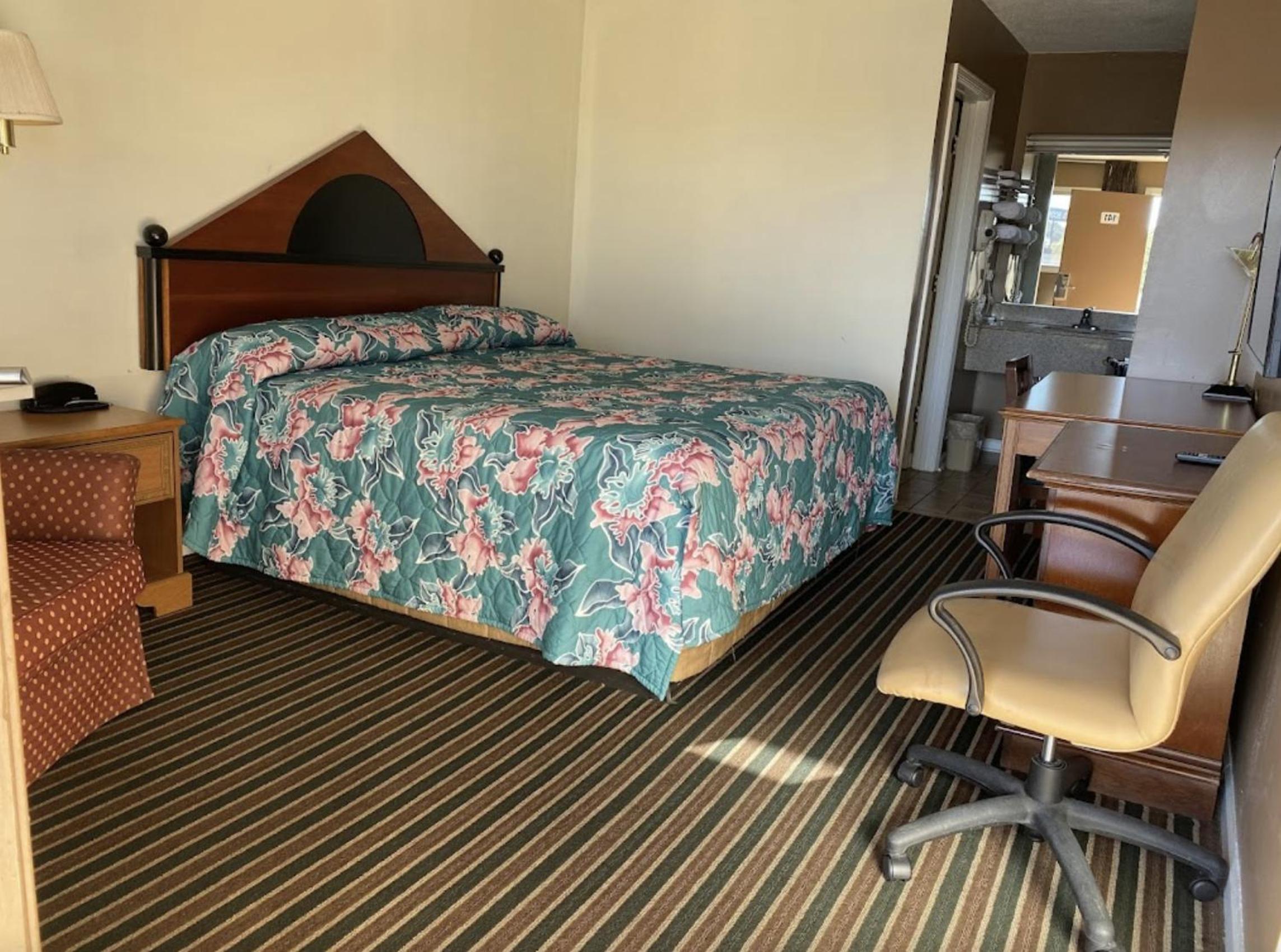 Single Room photo 1