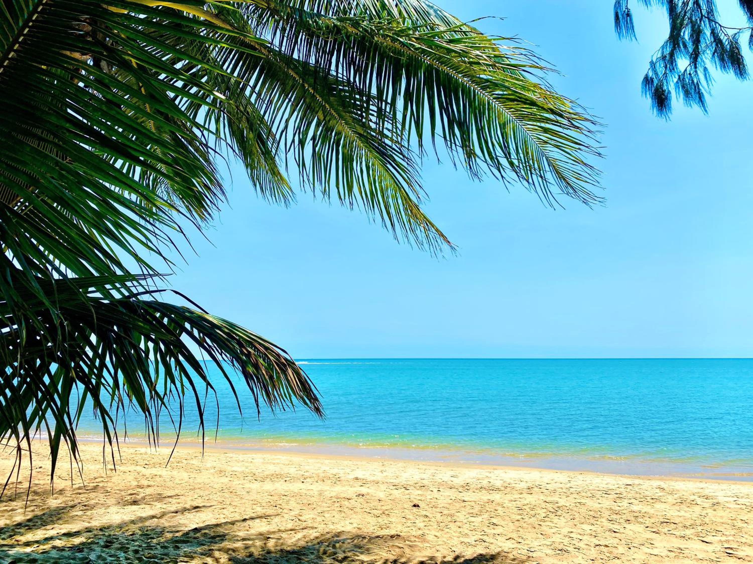 One-Bedroom Apartment with Beach View - Photo 14