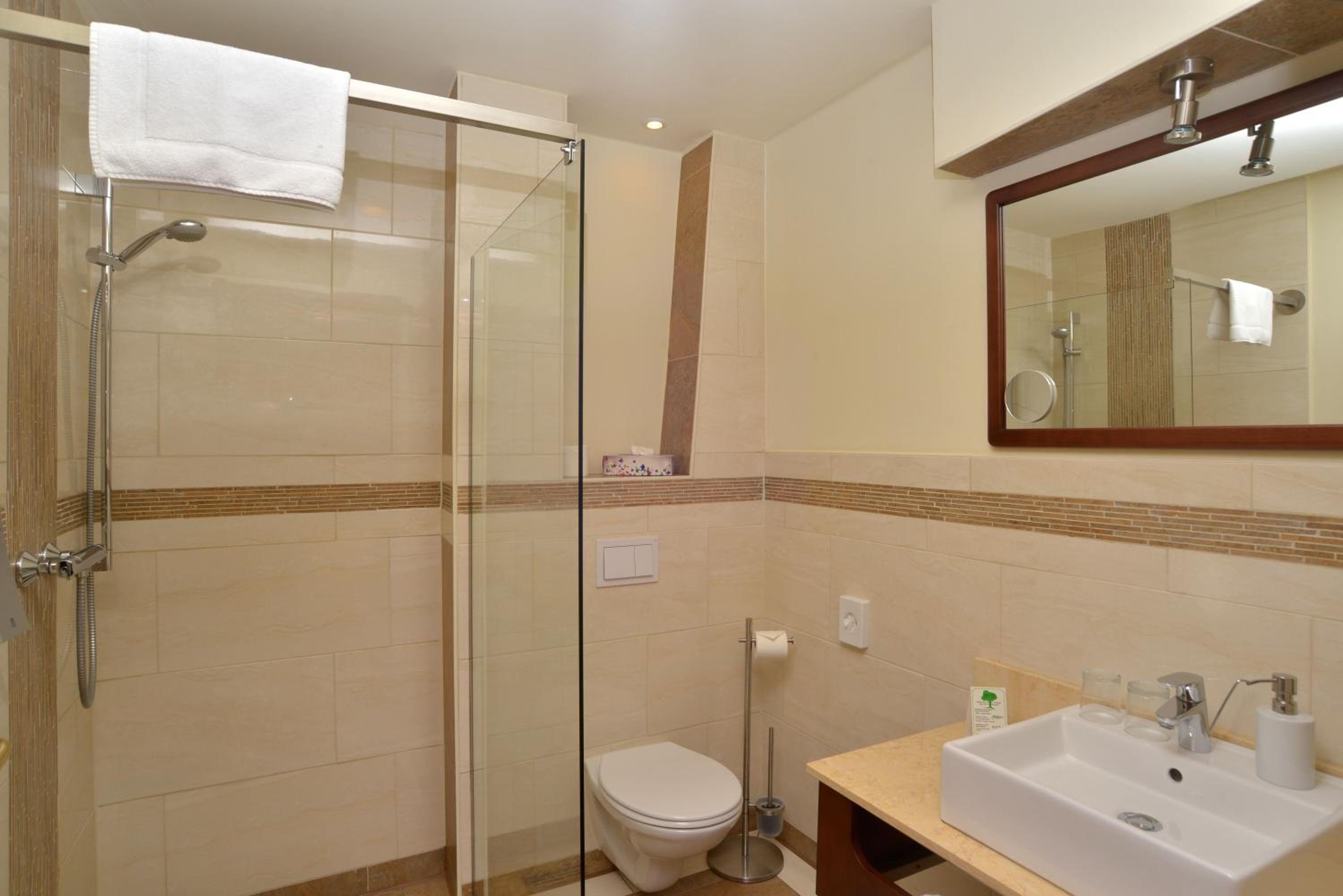 Business Double Room - Photo 8