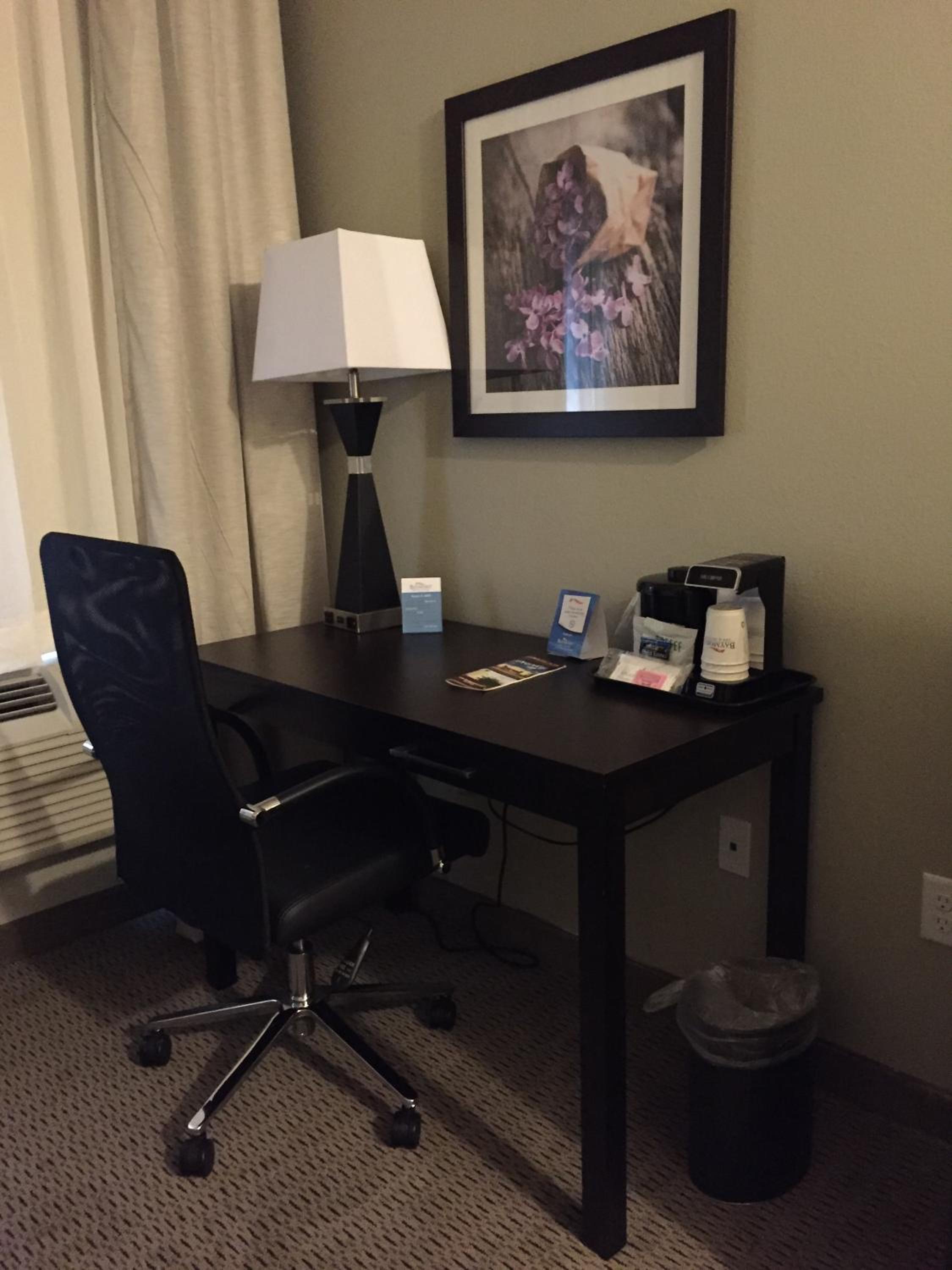 1 King Bed, Mobility/Hearing Accessible Studio Suite, Roll-in Shower, Non-Smoking photo 3