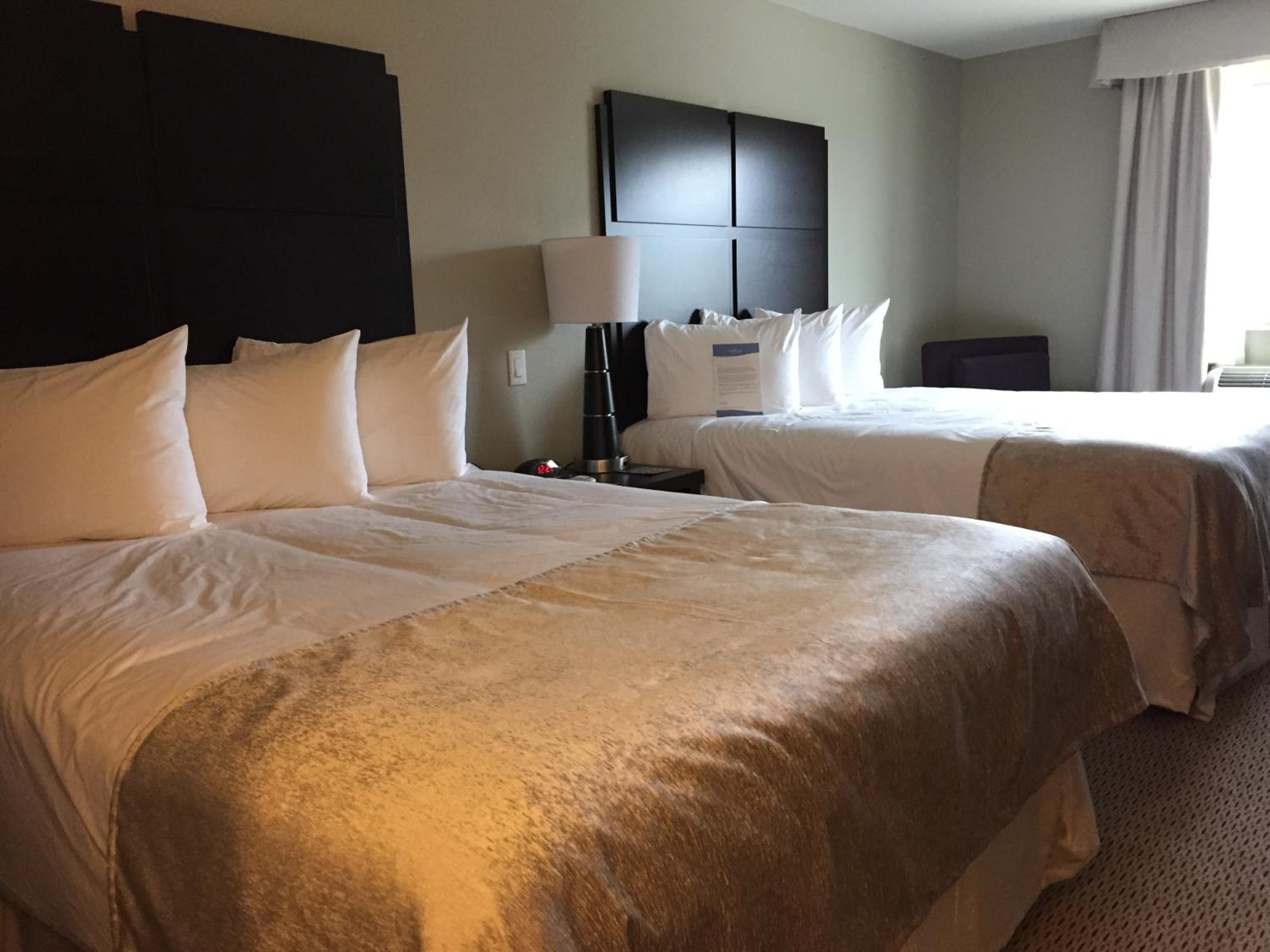 Queen Room with Two Queen Beds - Non-Smoking photo 1