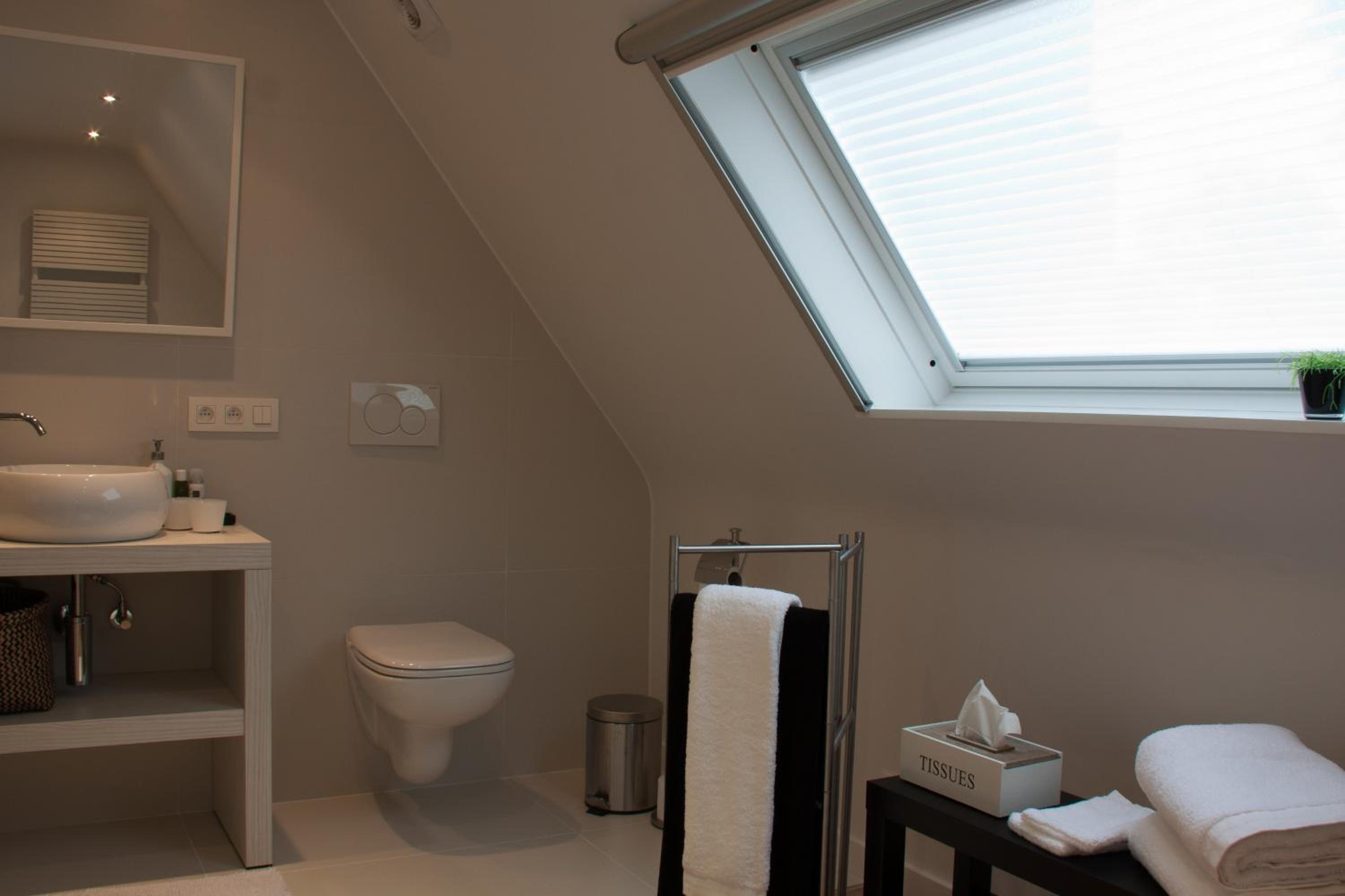 Deluxe Double or Twin Room photo 3