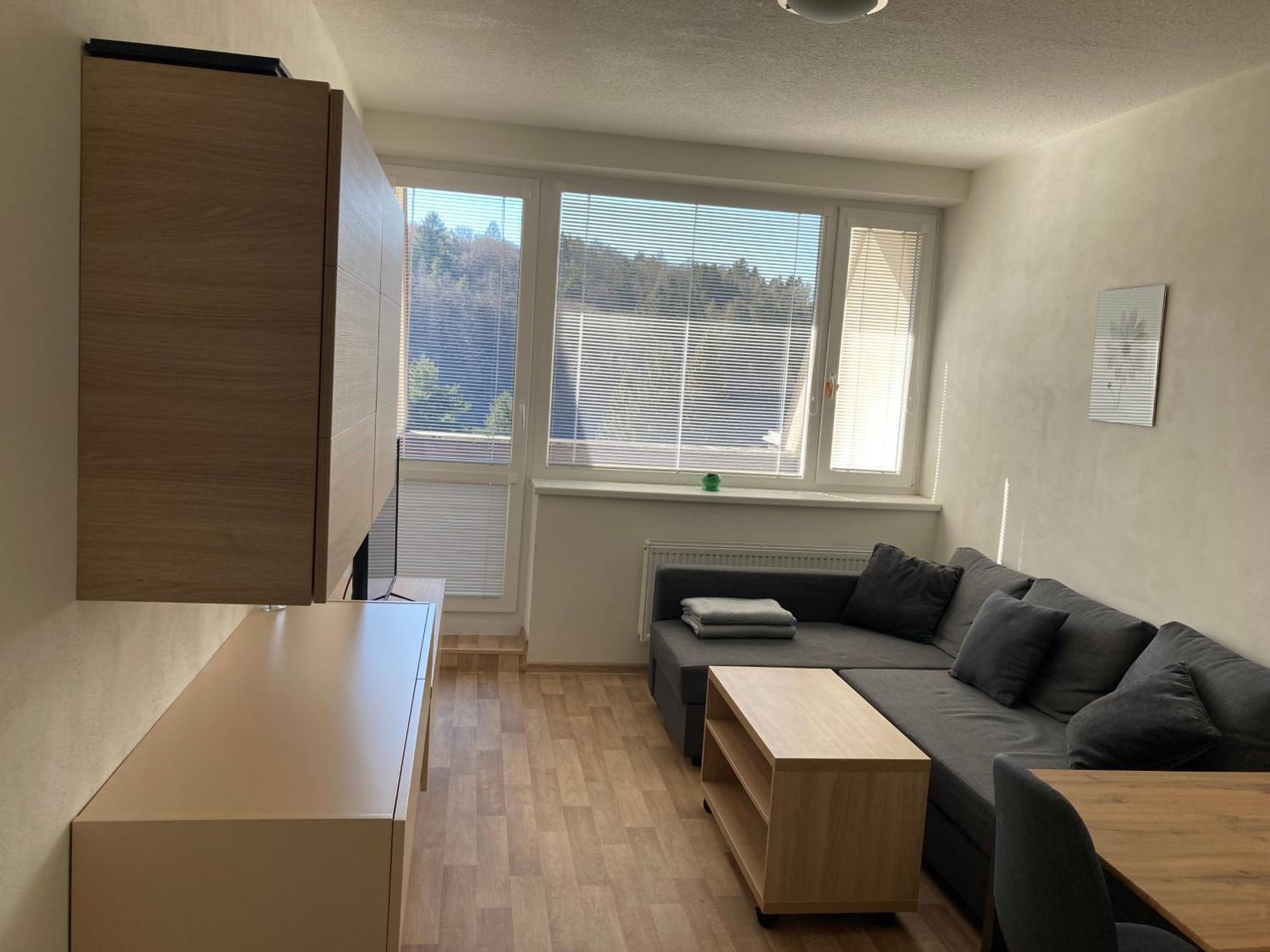 One-Bedroom Apartment photo 1