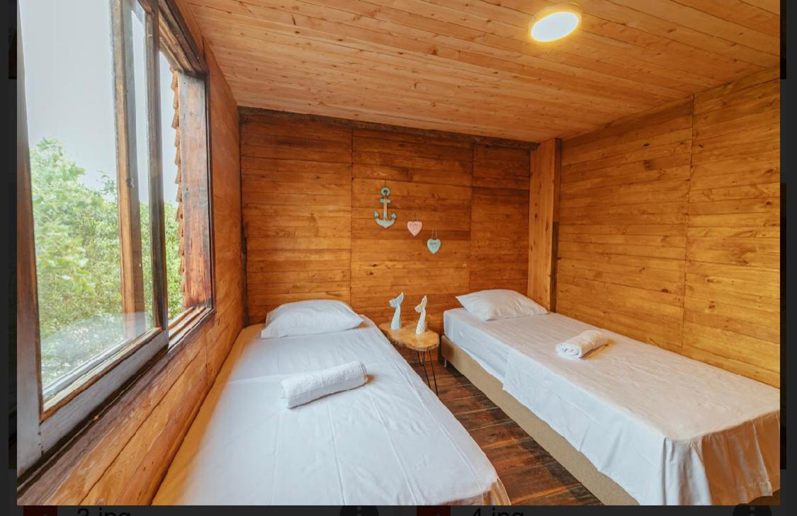 Twin Room photo 1