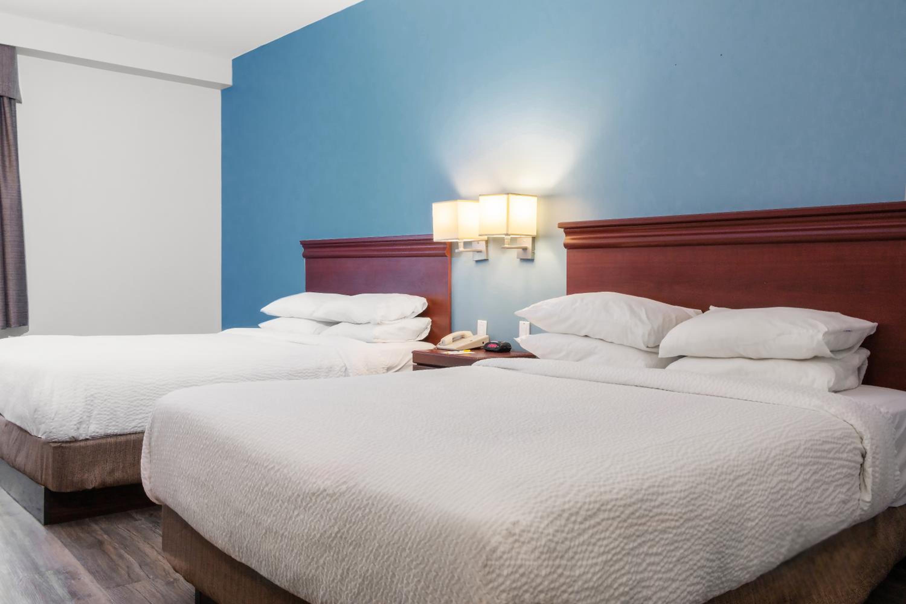 Double Room - Disability Access photo 3