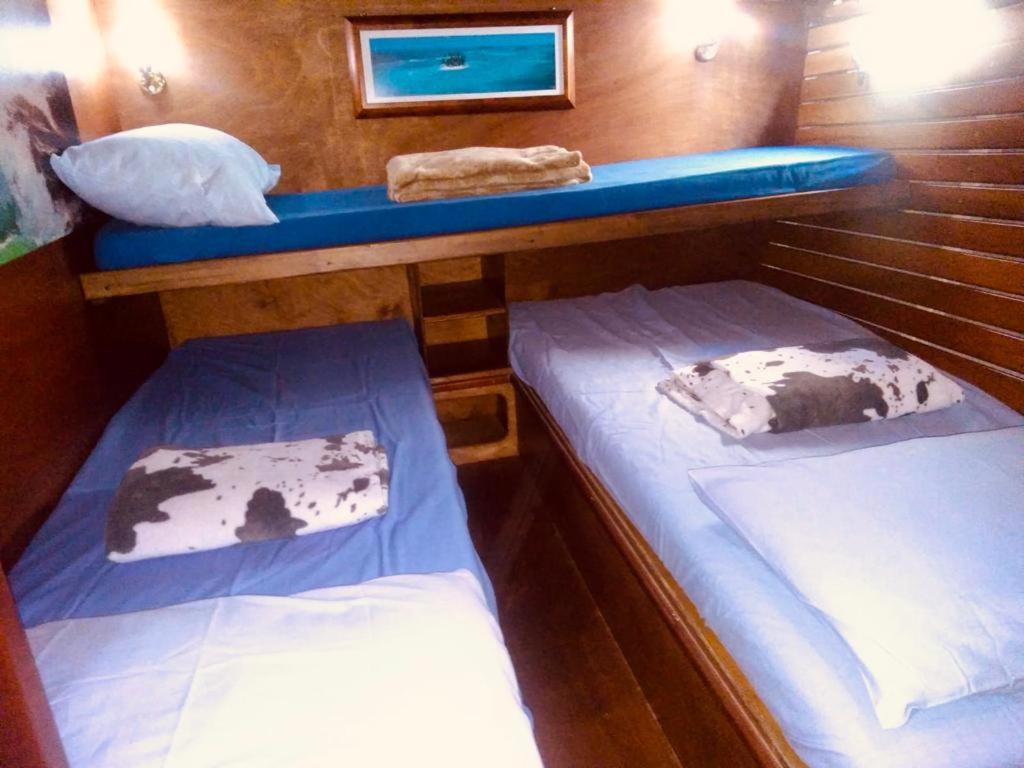 Twin Room With Private Bathroom