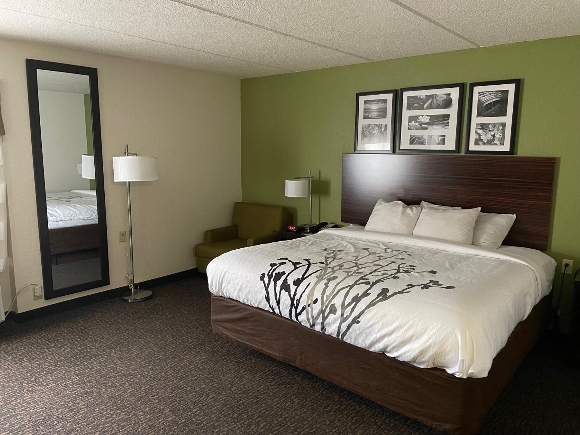 King Room - Accessible/Non-Smoking - Photo 4